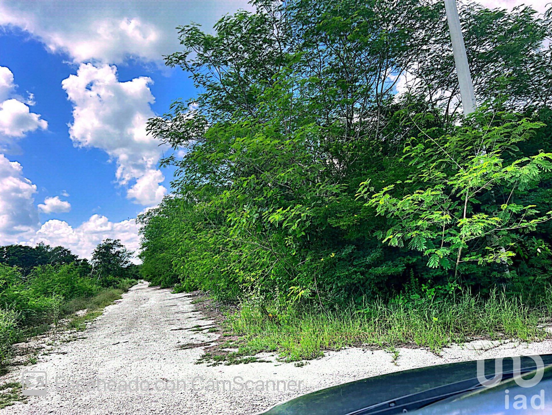 Land in Komchen, Yucatán 12677757