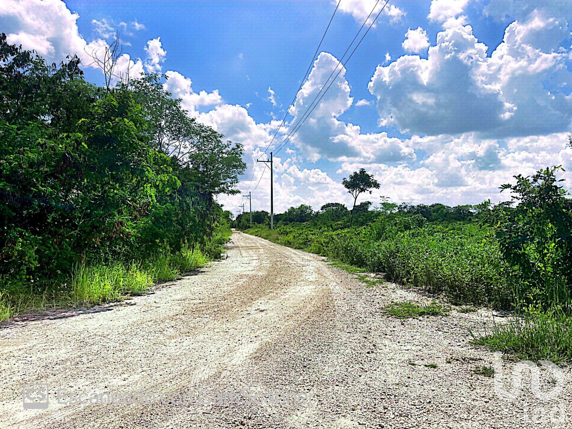 Terre dans Komchén, Yucatán 12677757