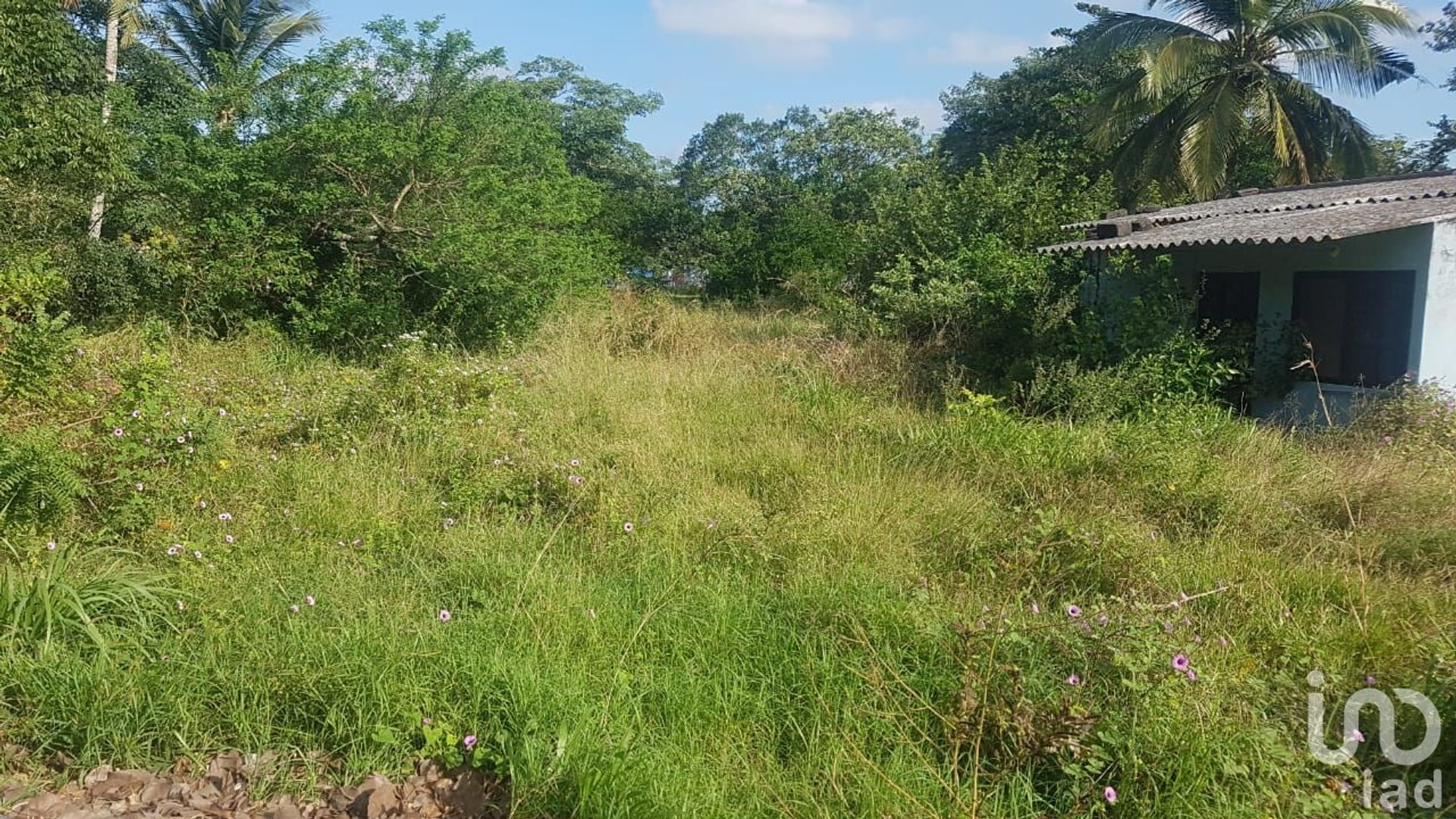 Tierra en Los Robles, Veracruz 12677876