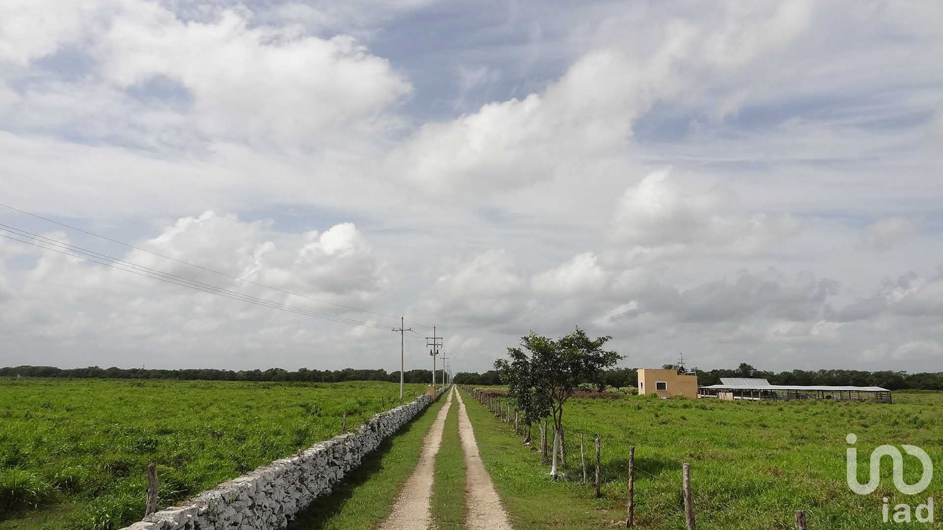 بيت في Sucilá, Yucatán 12677923