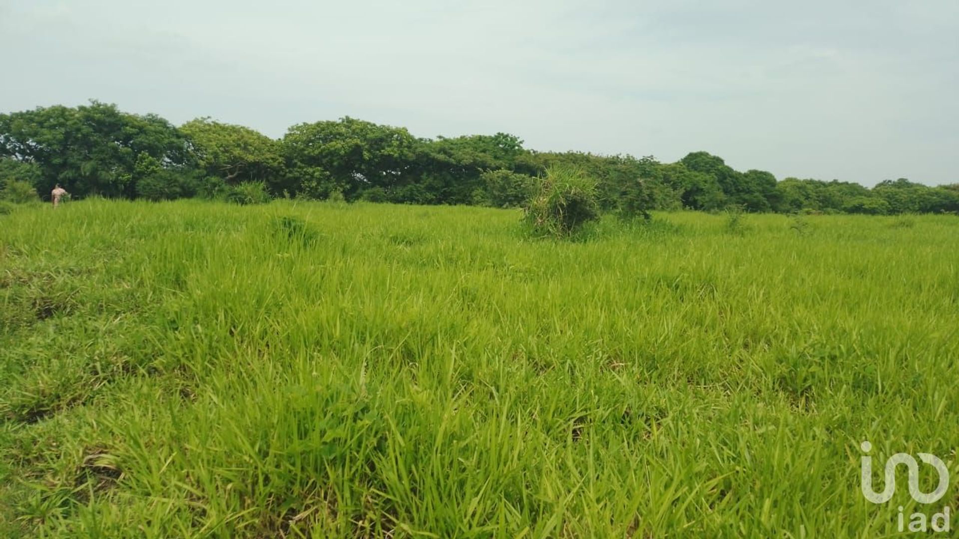 Land in La Laguna y Monte del Castillo, Veracruz 12677952