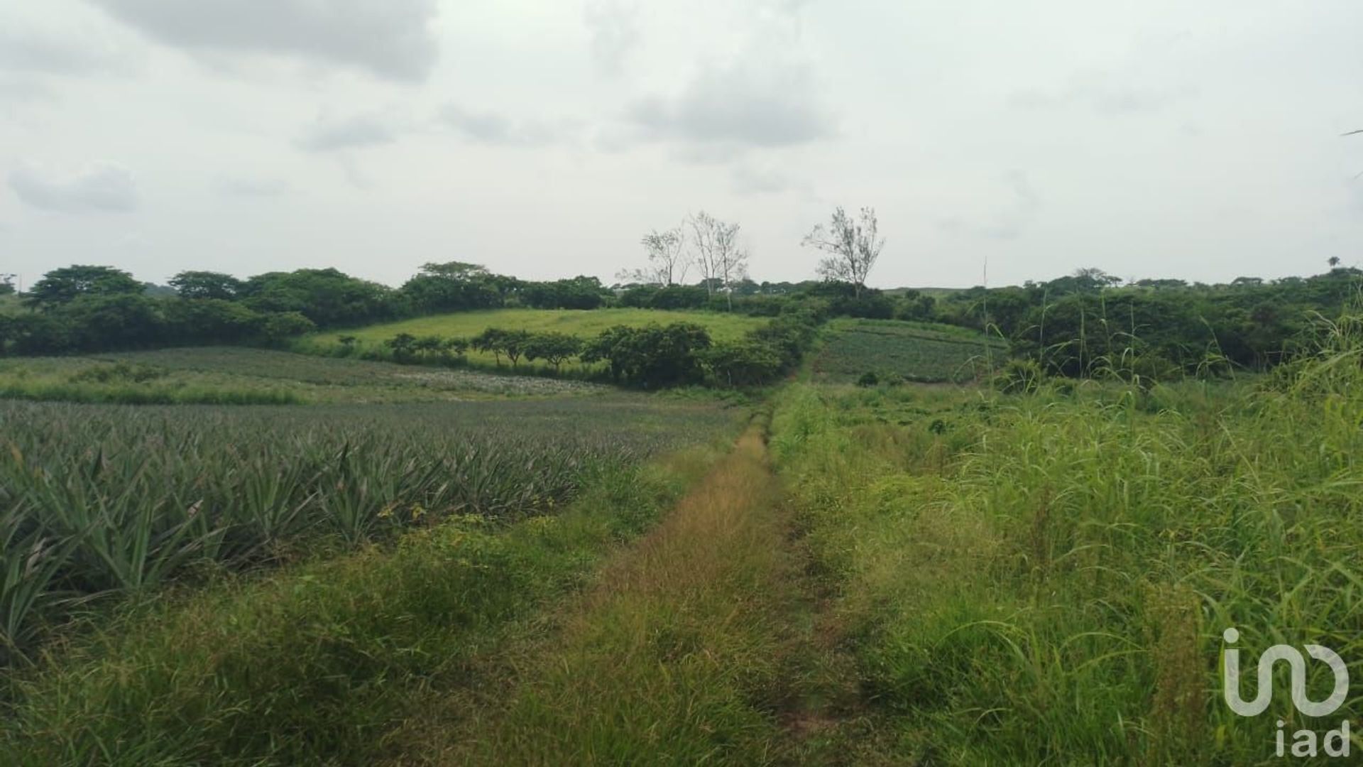 Land in La Laguna y Monte del Castillo, Veracruz 12677952