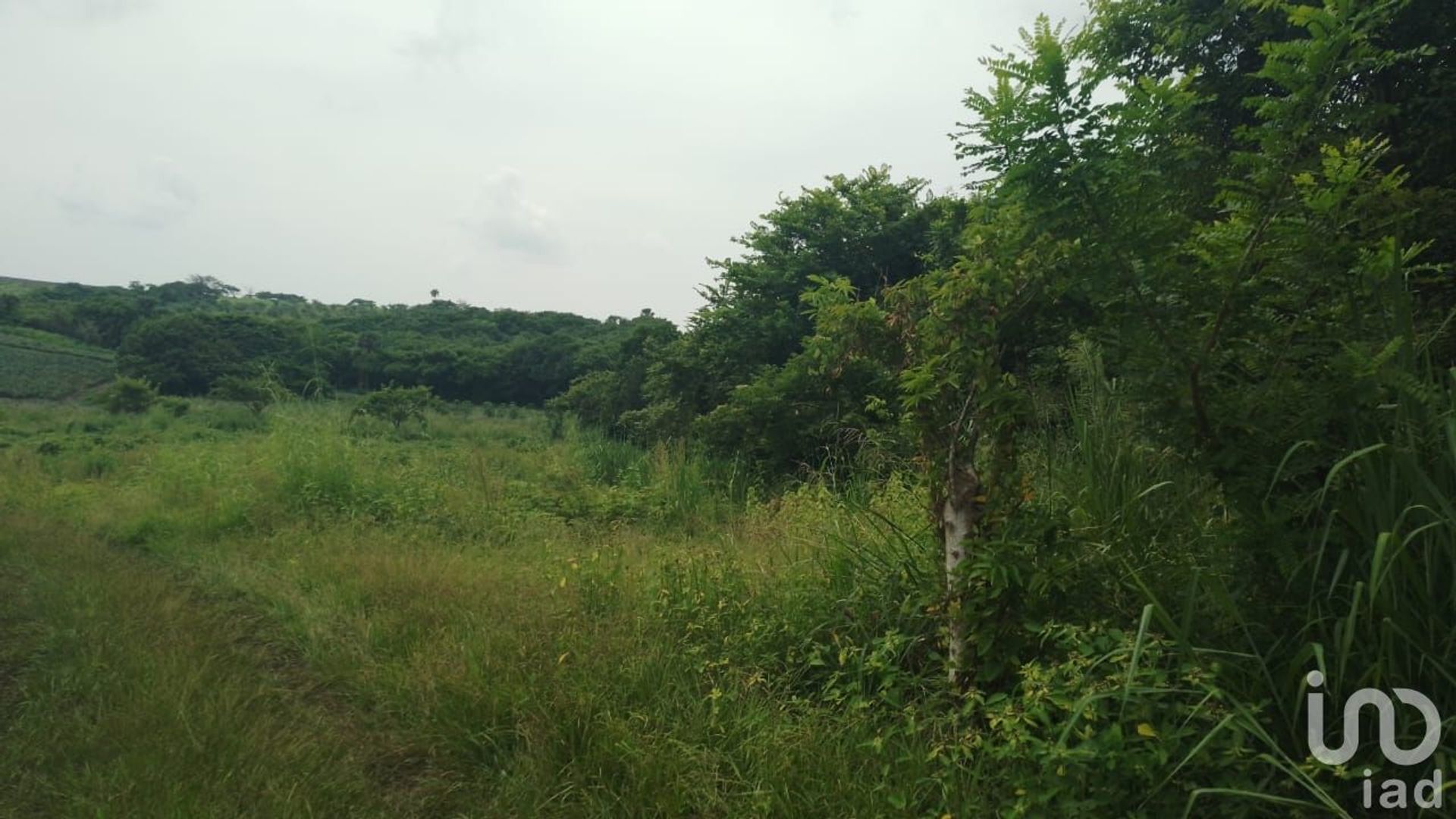 Land in La Laguna y Monte del Castillo, Veracruz 12677952