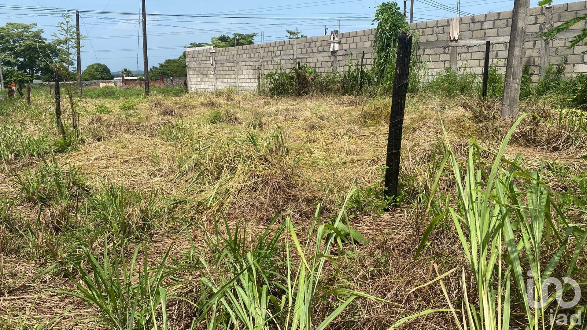 Land im Doctora Maria C. de Rojas, Veracruz 12678013