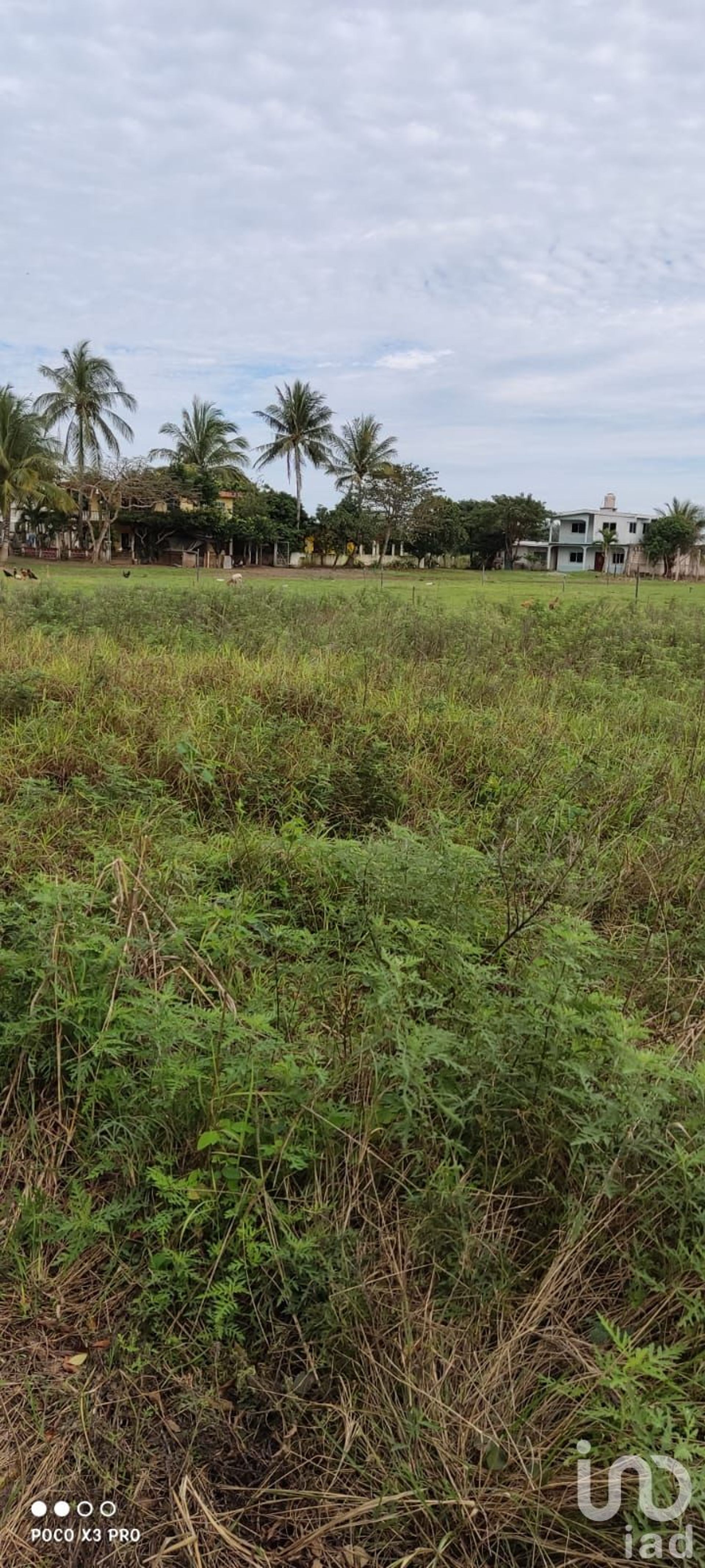 Maa sisään Monte Gordo, Veracruz 12678037