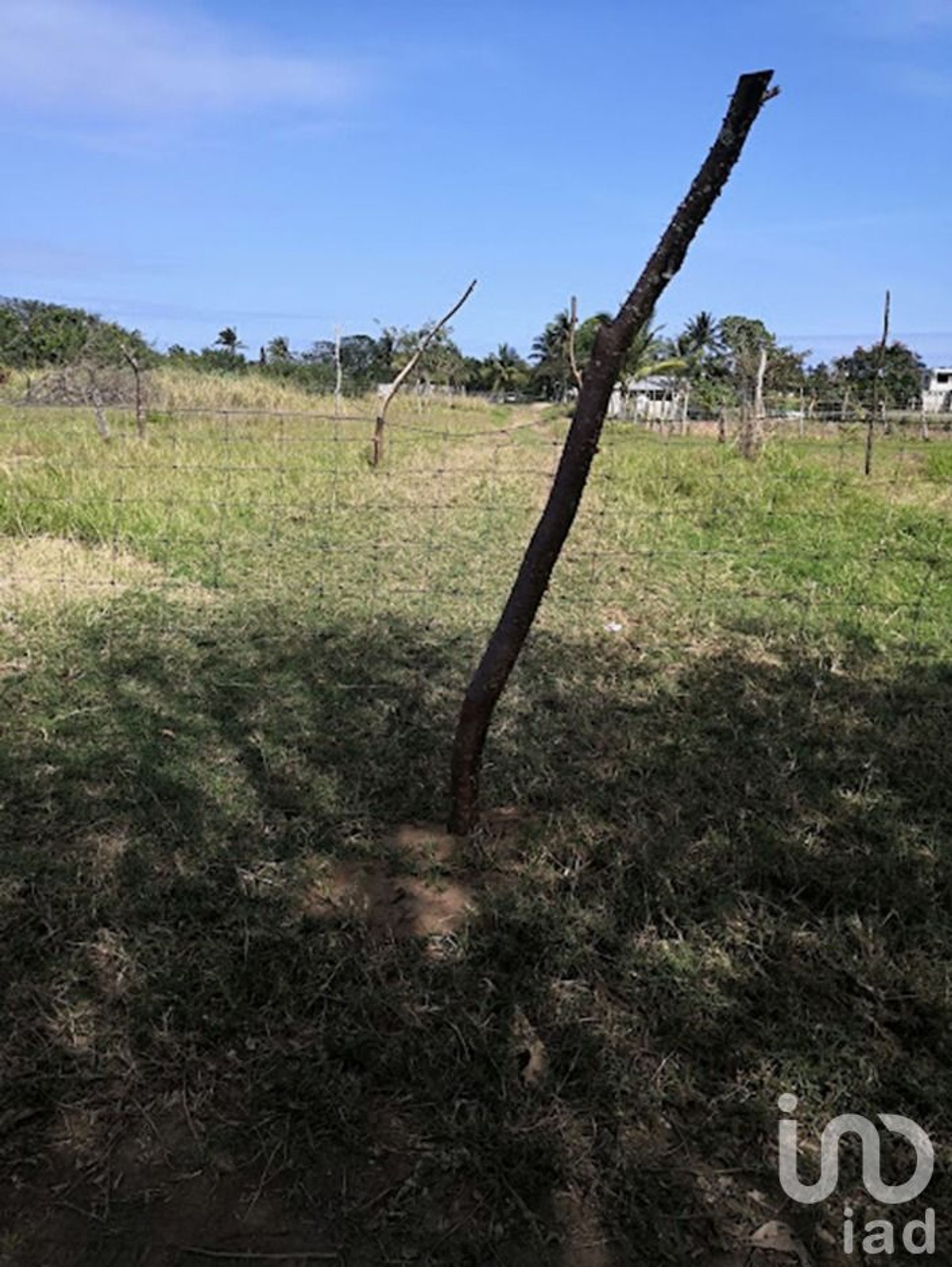 Maa sisään Monte Gordo, Veracruz 12678037