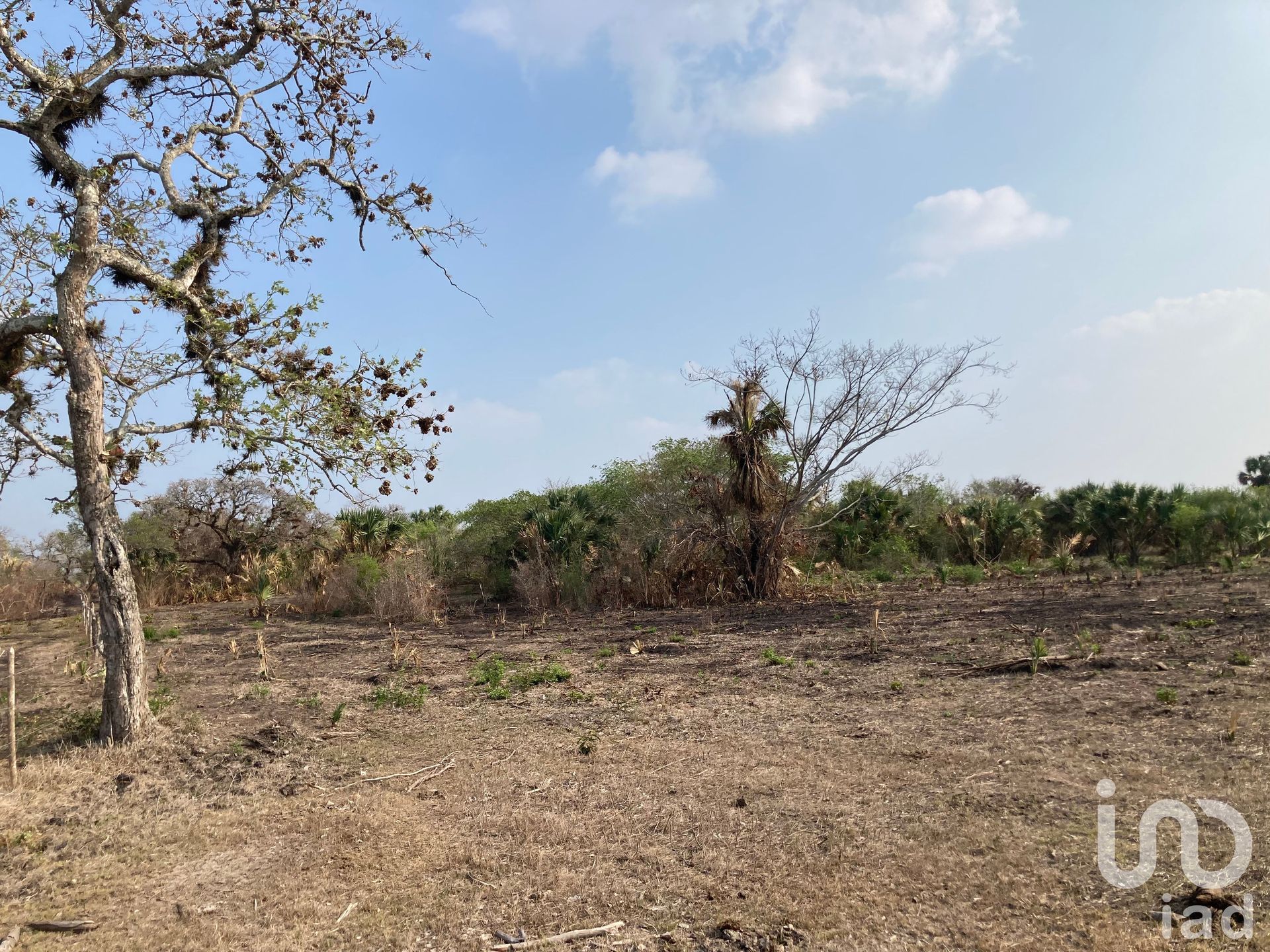 Land in Ixmatlahuacan, Veracruz 12678167