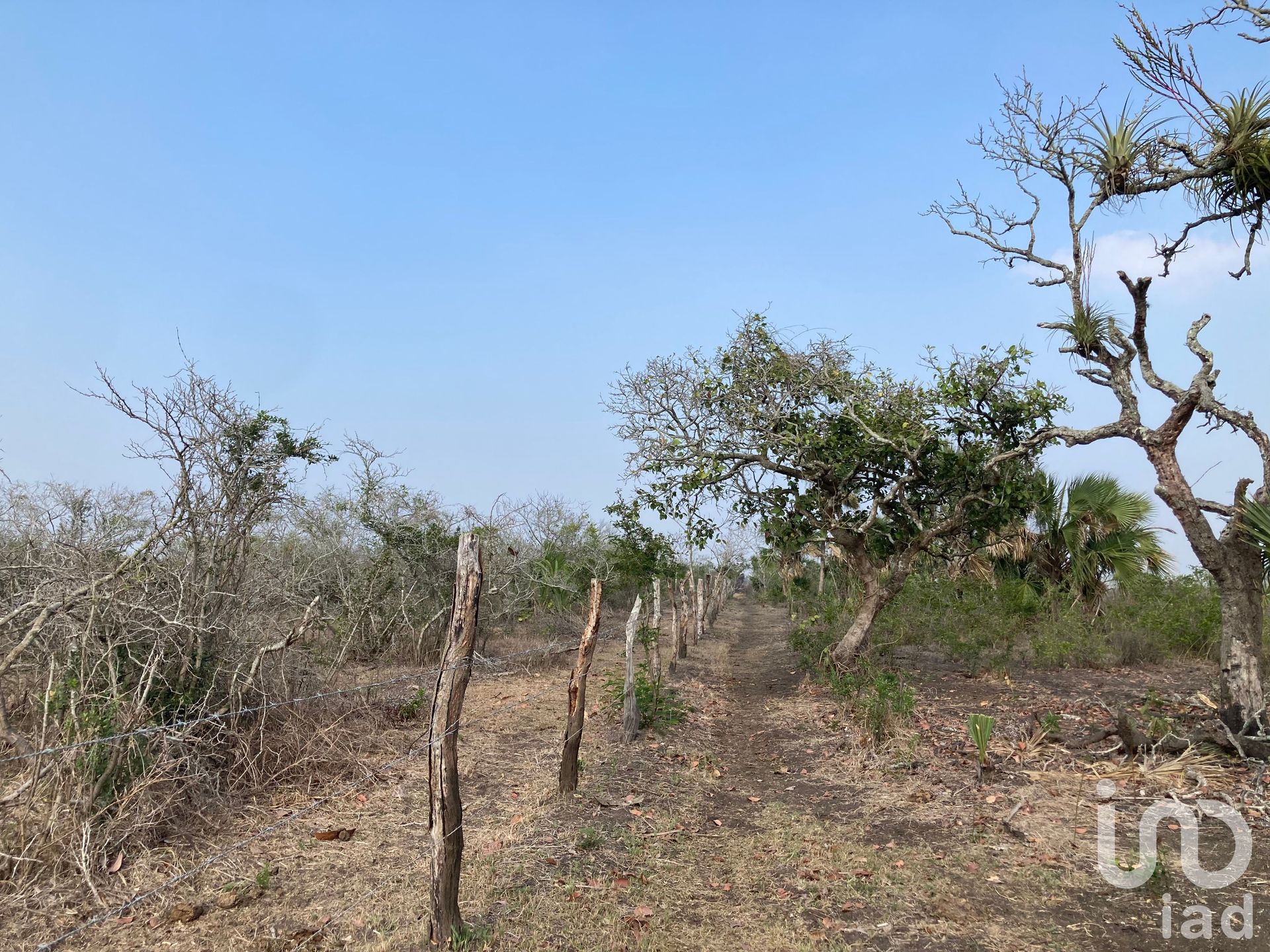 Land in Ixmatlahuacan, Veracruz 12678167