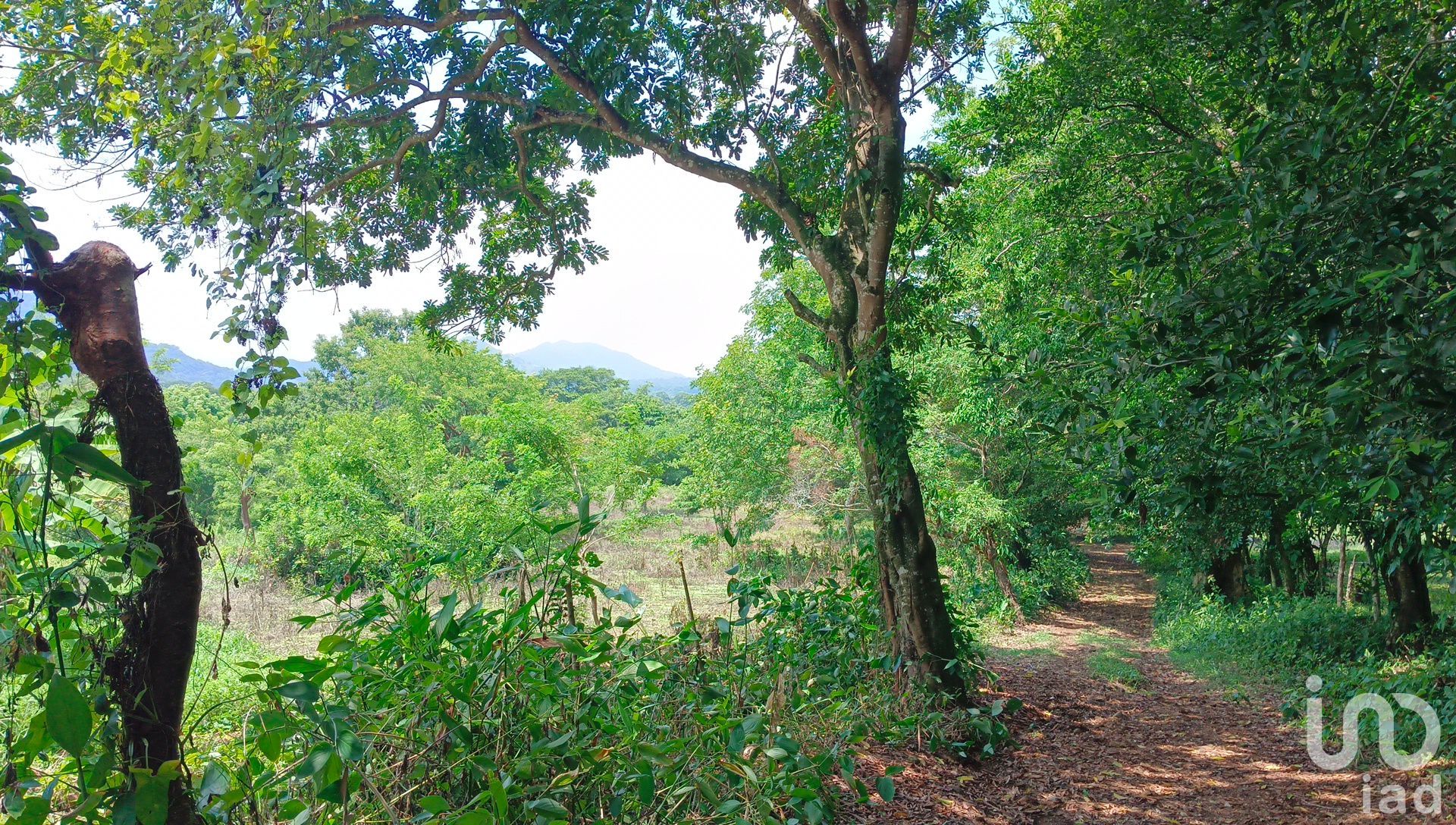 土地 在 El Chininal, 韋拉克魯斯 12678189