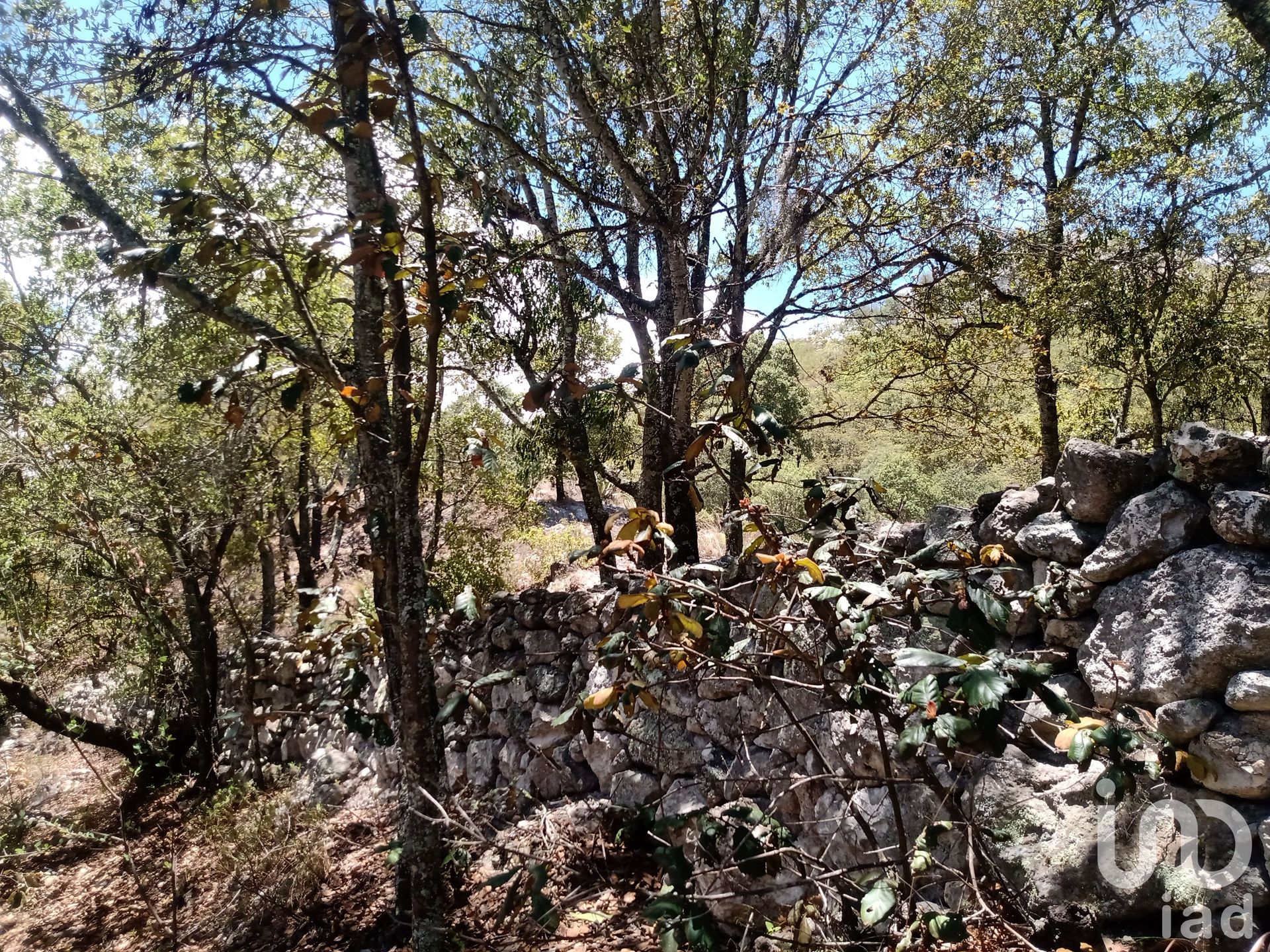 Land in Zoquizoquipan, Hidalgo 12678236