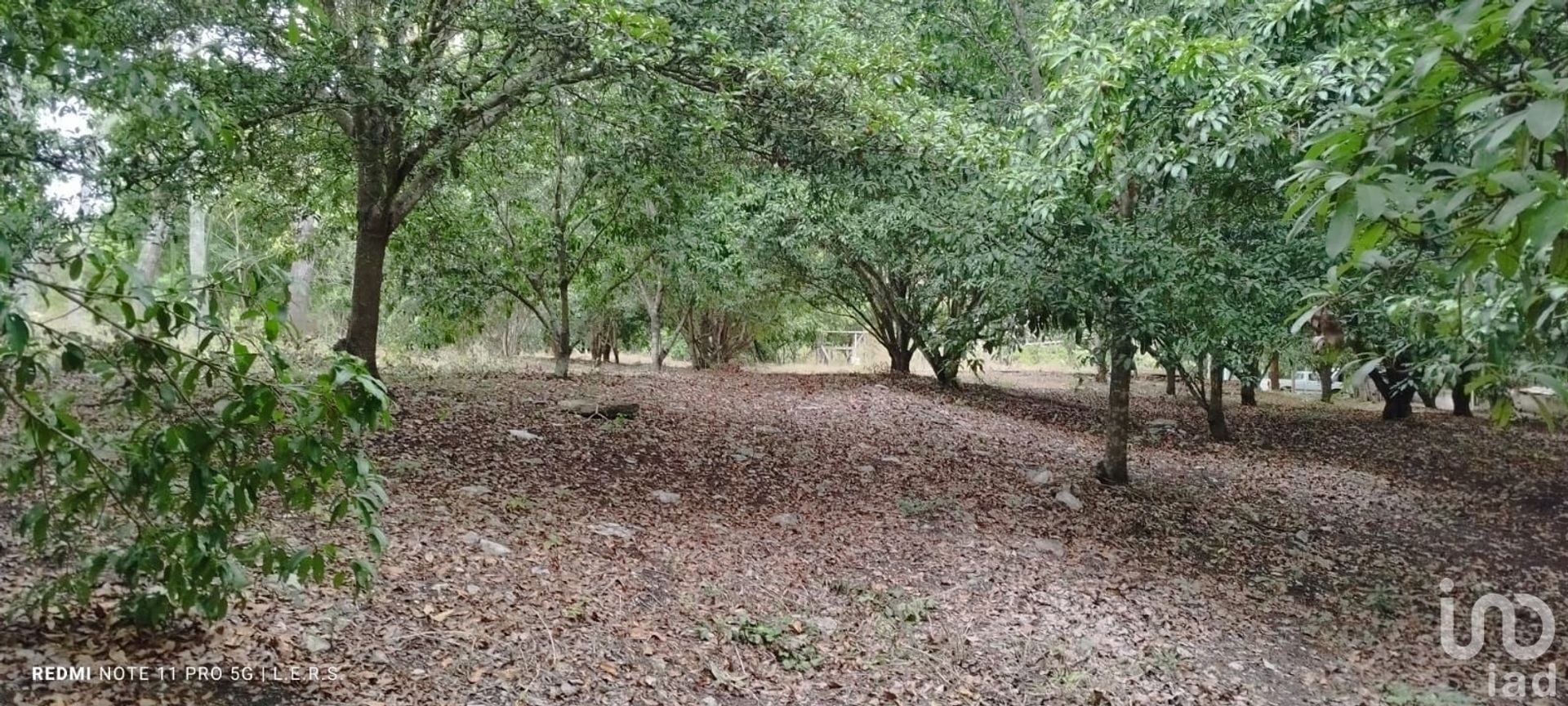 Terre dans El Lencero, Veracruz 12678513