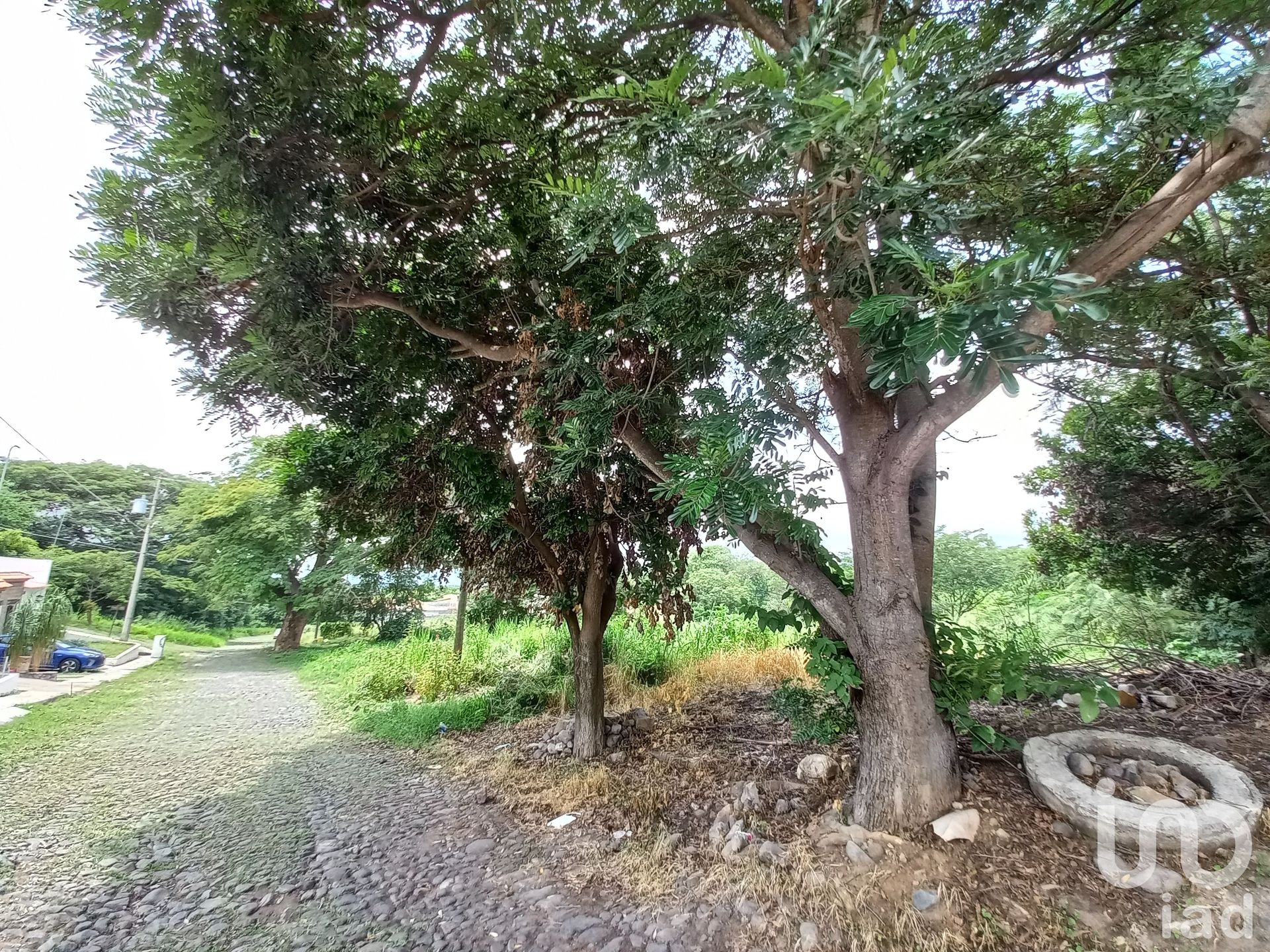 Land in Comala, Colima 12678603