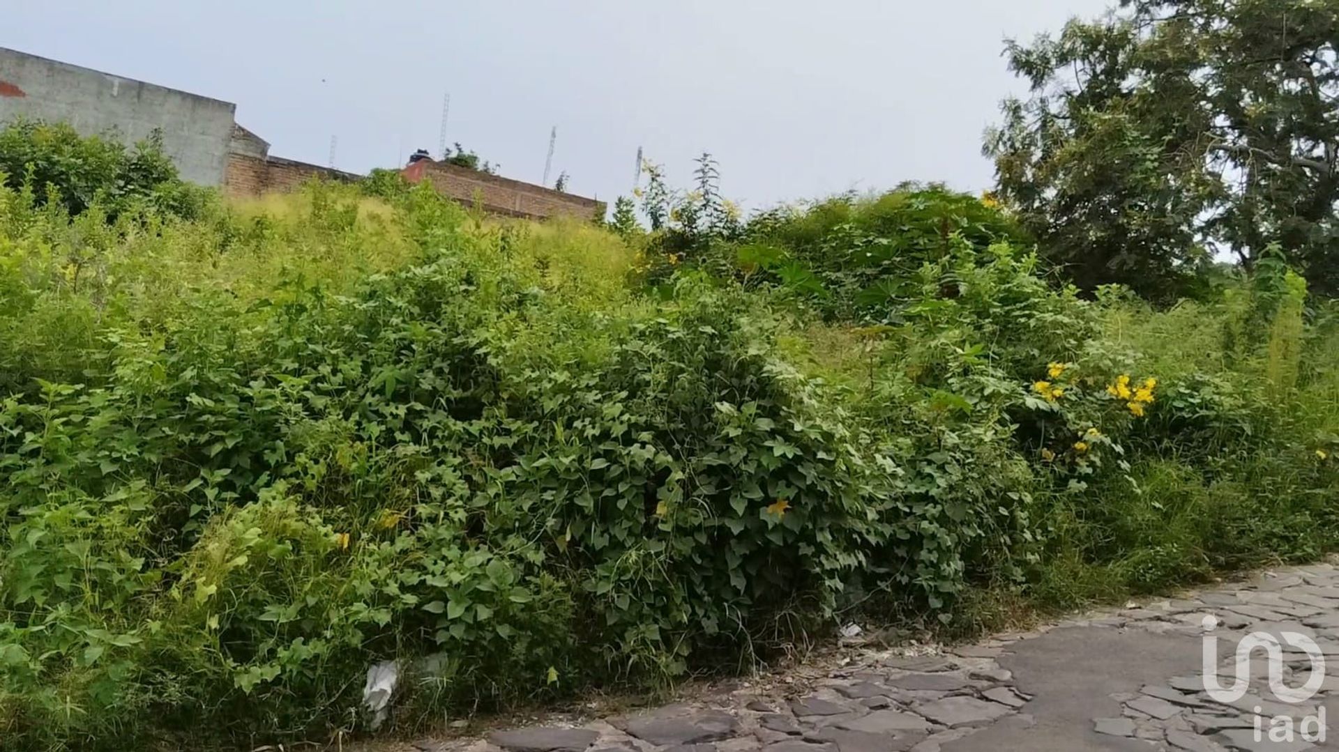 土地 在 El Cerro del Cuatro, Jalisco 12678629