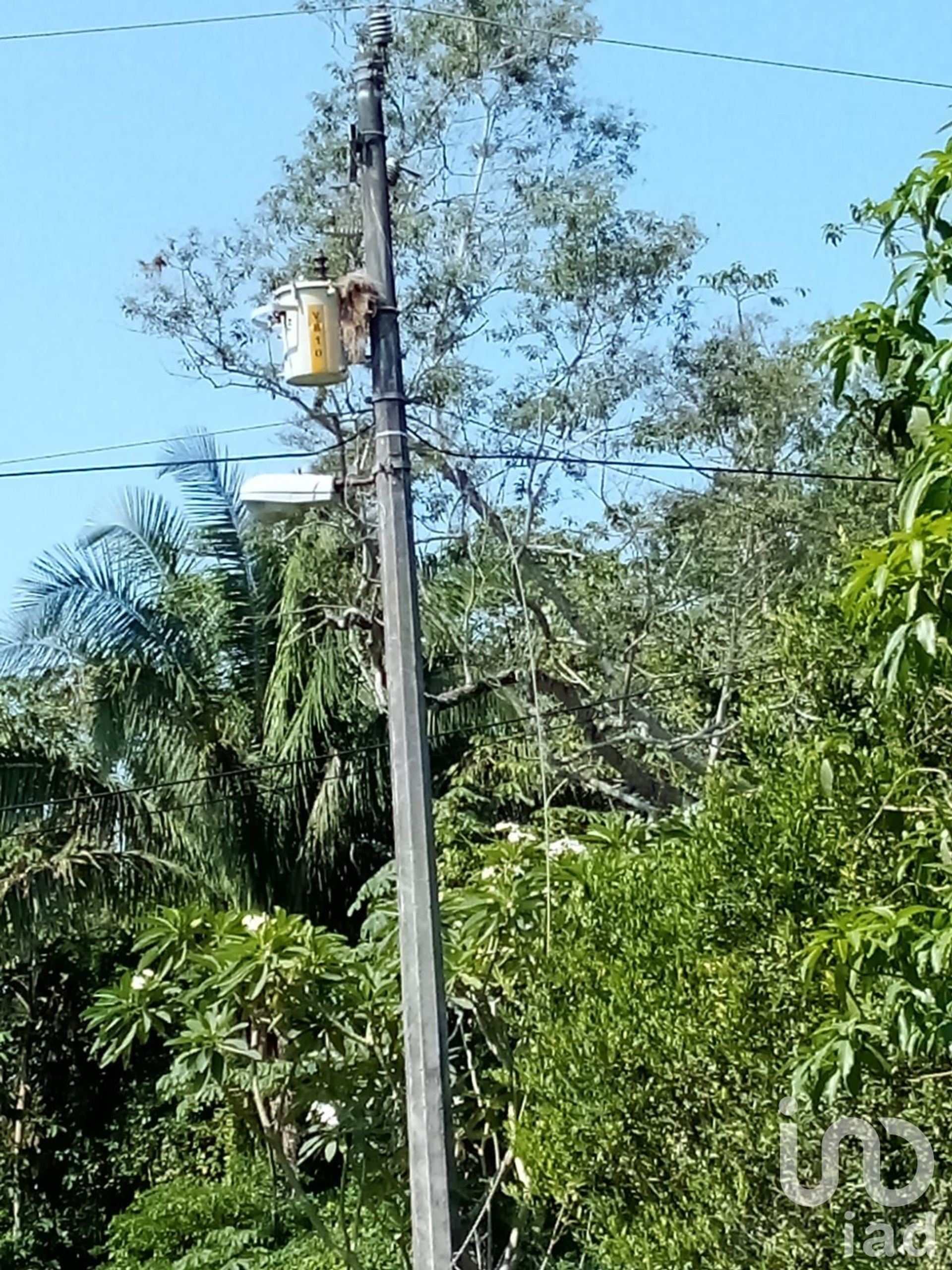 Land in Manlio Fabio Altamirano, Veracruz 12678642