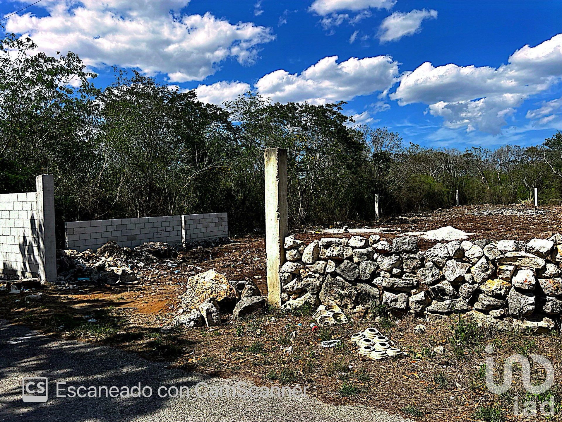 Sbarcare nel Kinchil, Yucatán 12678646