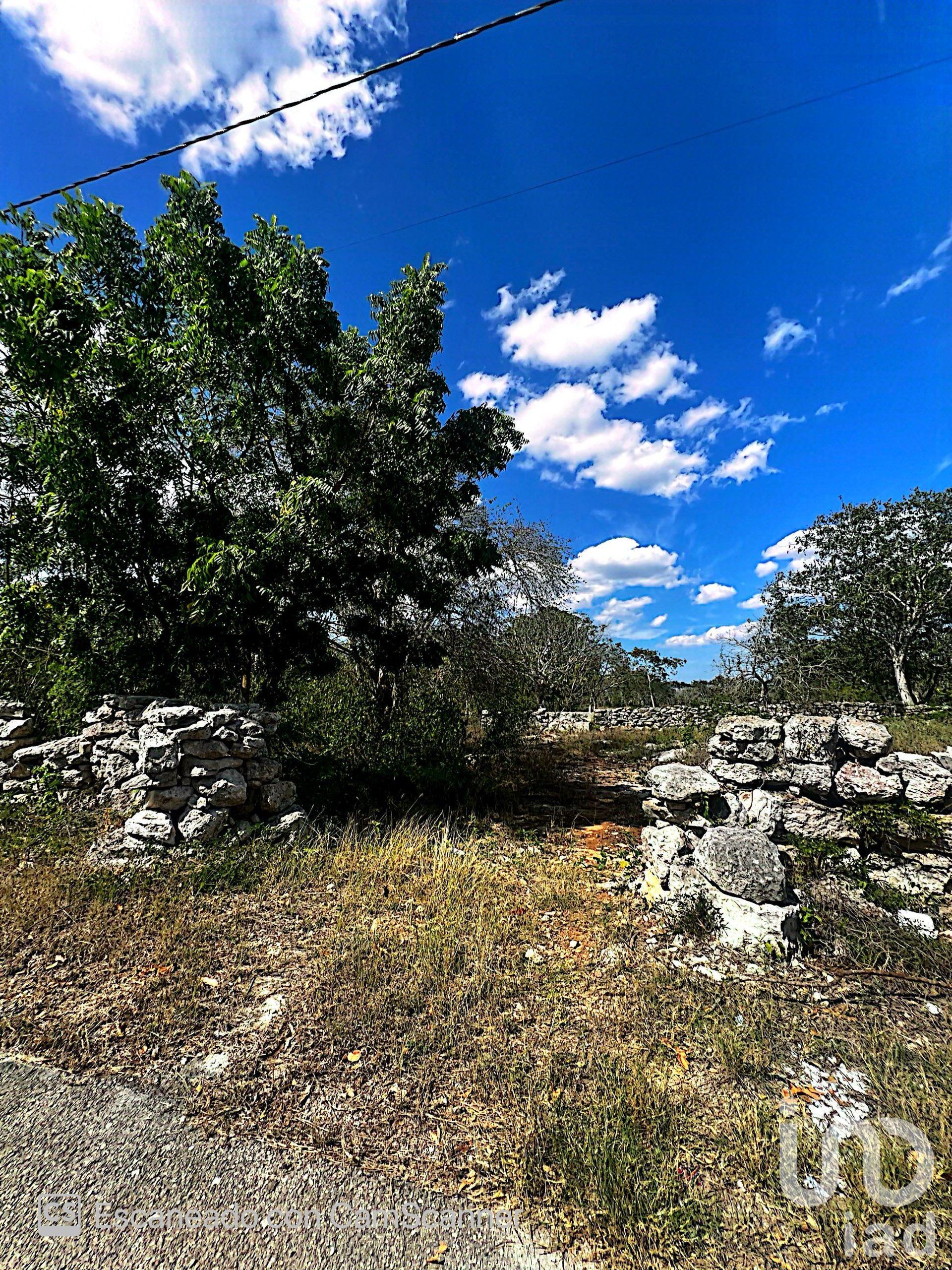 Terra no Kinchil, Yucatán 12678648