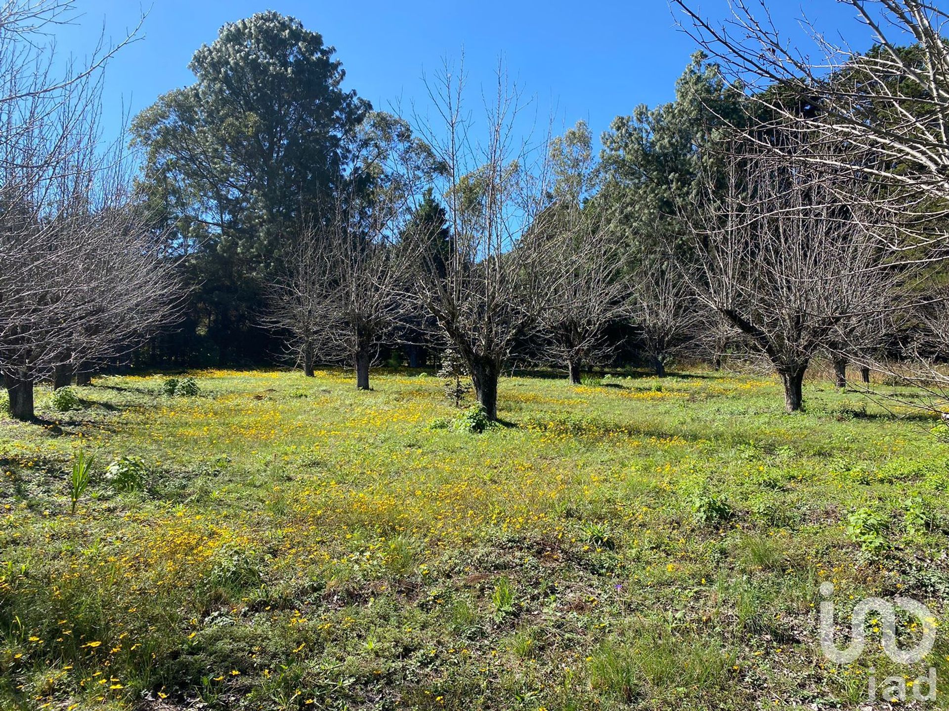 Land im San Cristóbal de las Casas, Chiapas 12678757