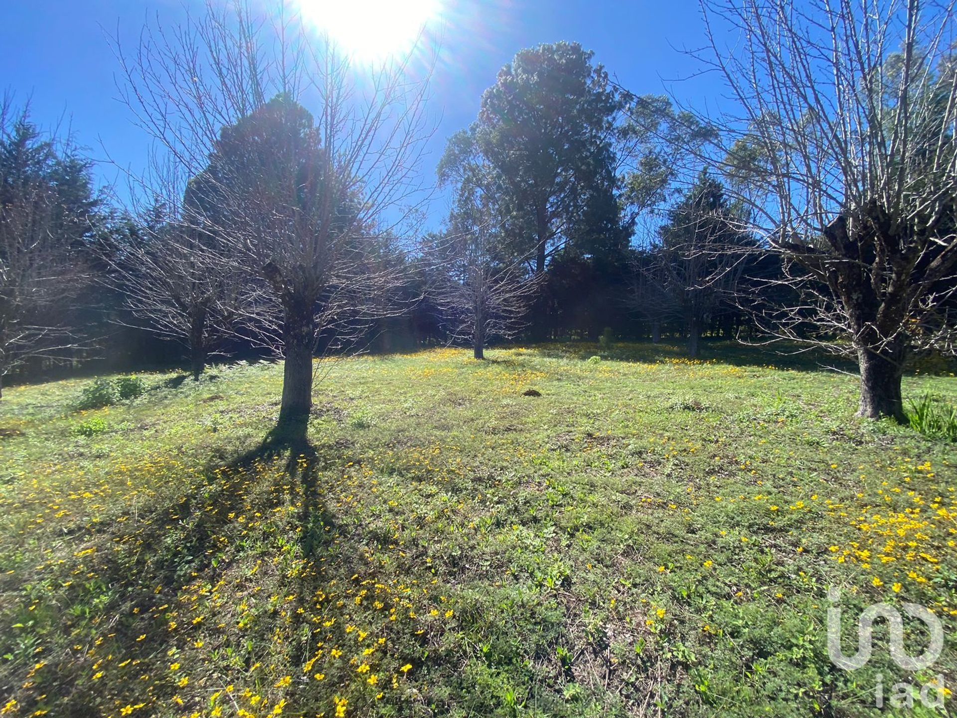 Land im San Cristóbal de las Casas, Chiapas 12678757