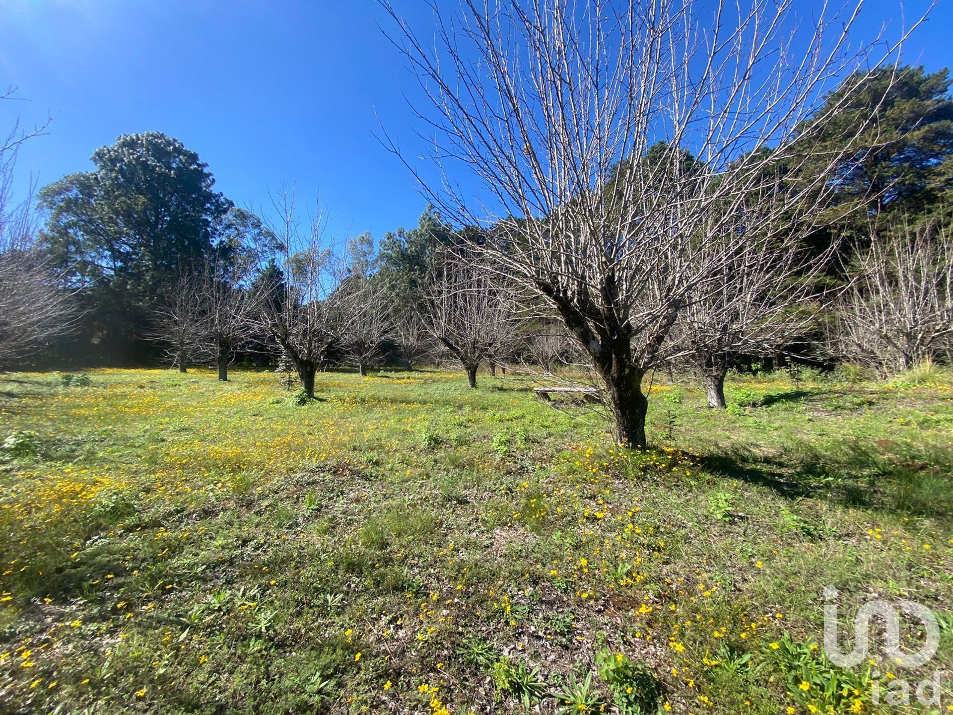 Land im San Cristóbal de las Casas, Chiapas 12678757