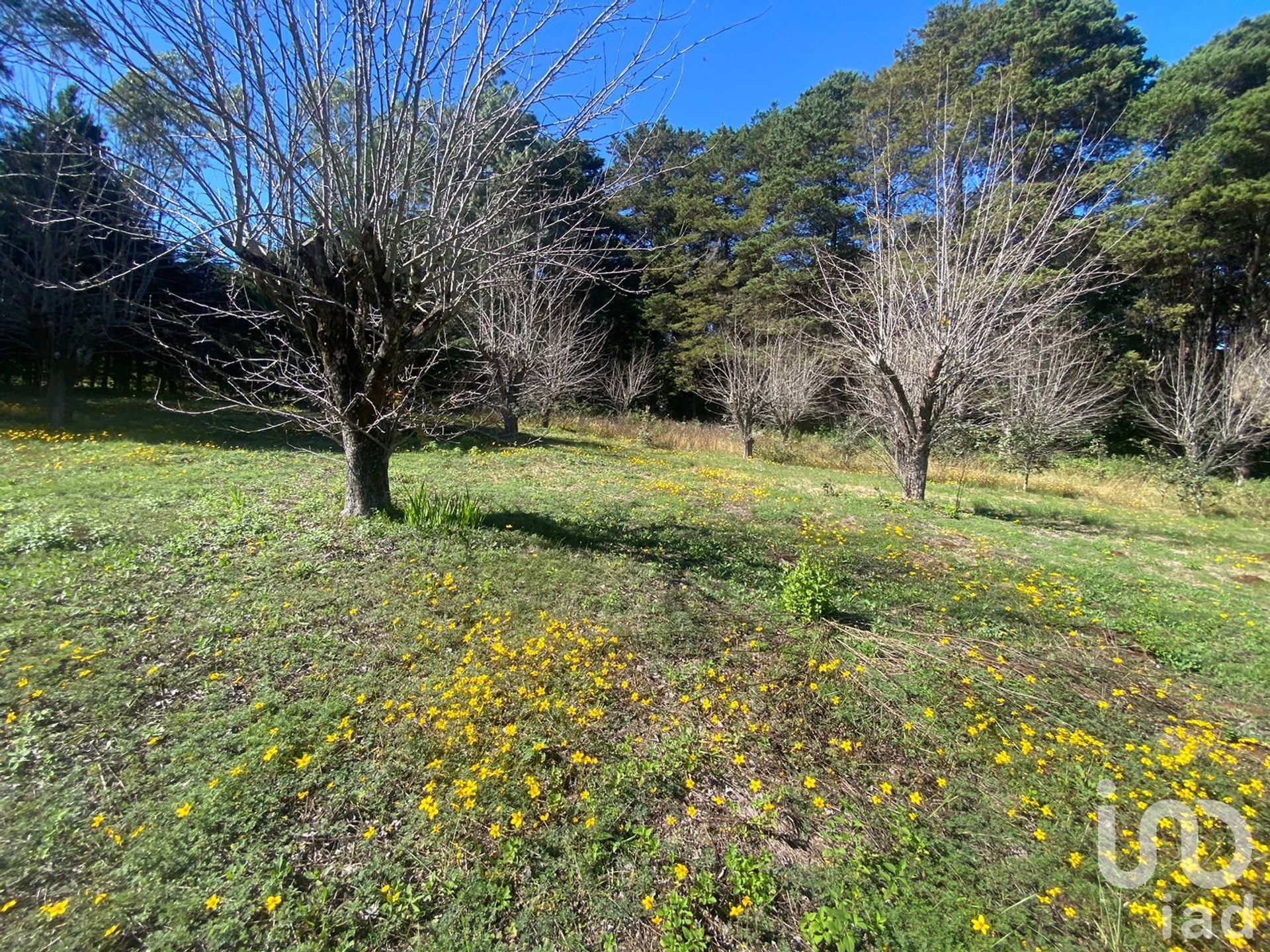 Land im San Cristóbal de las Casas, Chiapas 12678757