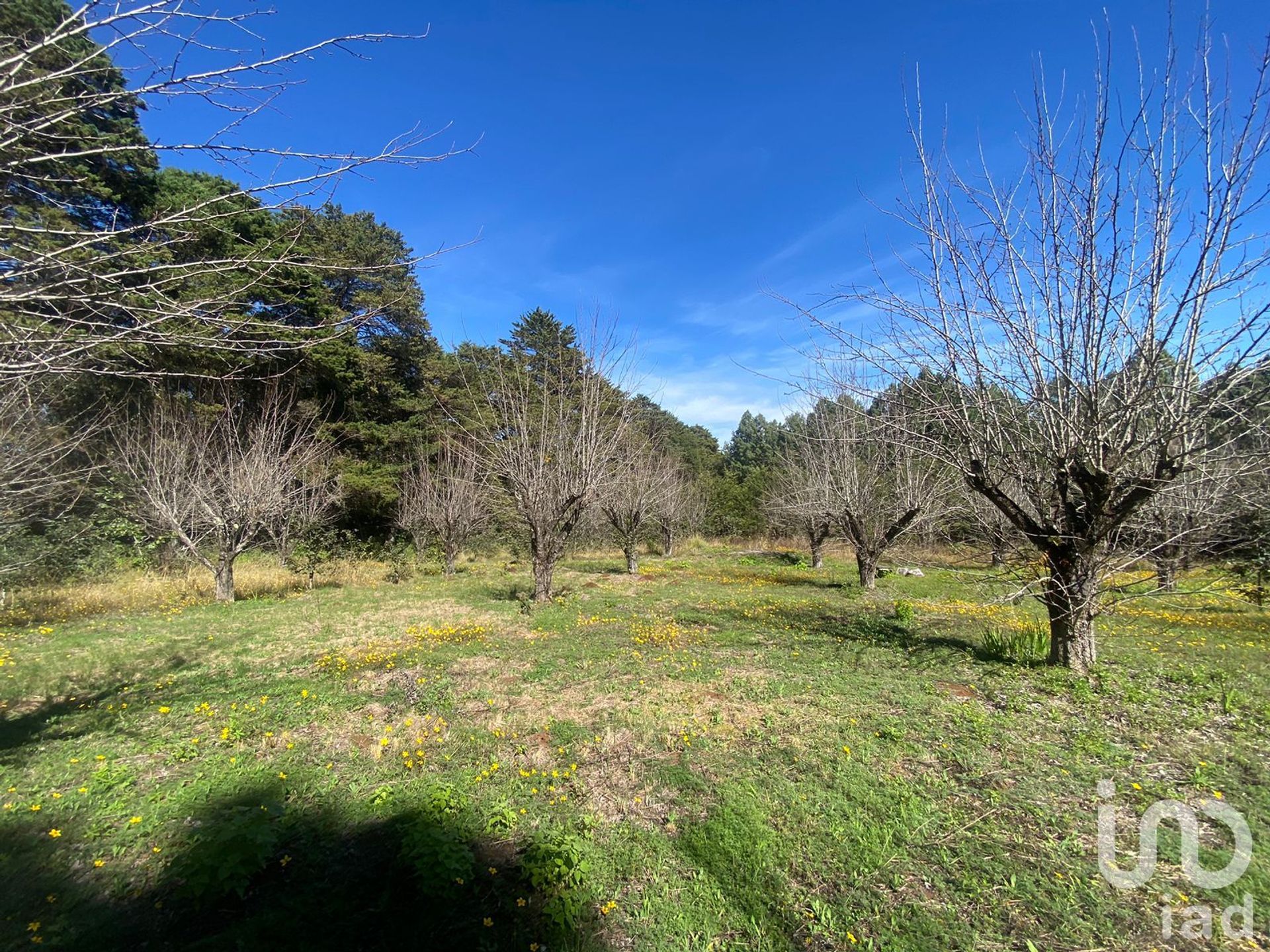 Land im San Cristóbal de las Casas, Chiapas 12678757