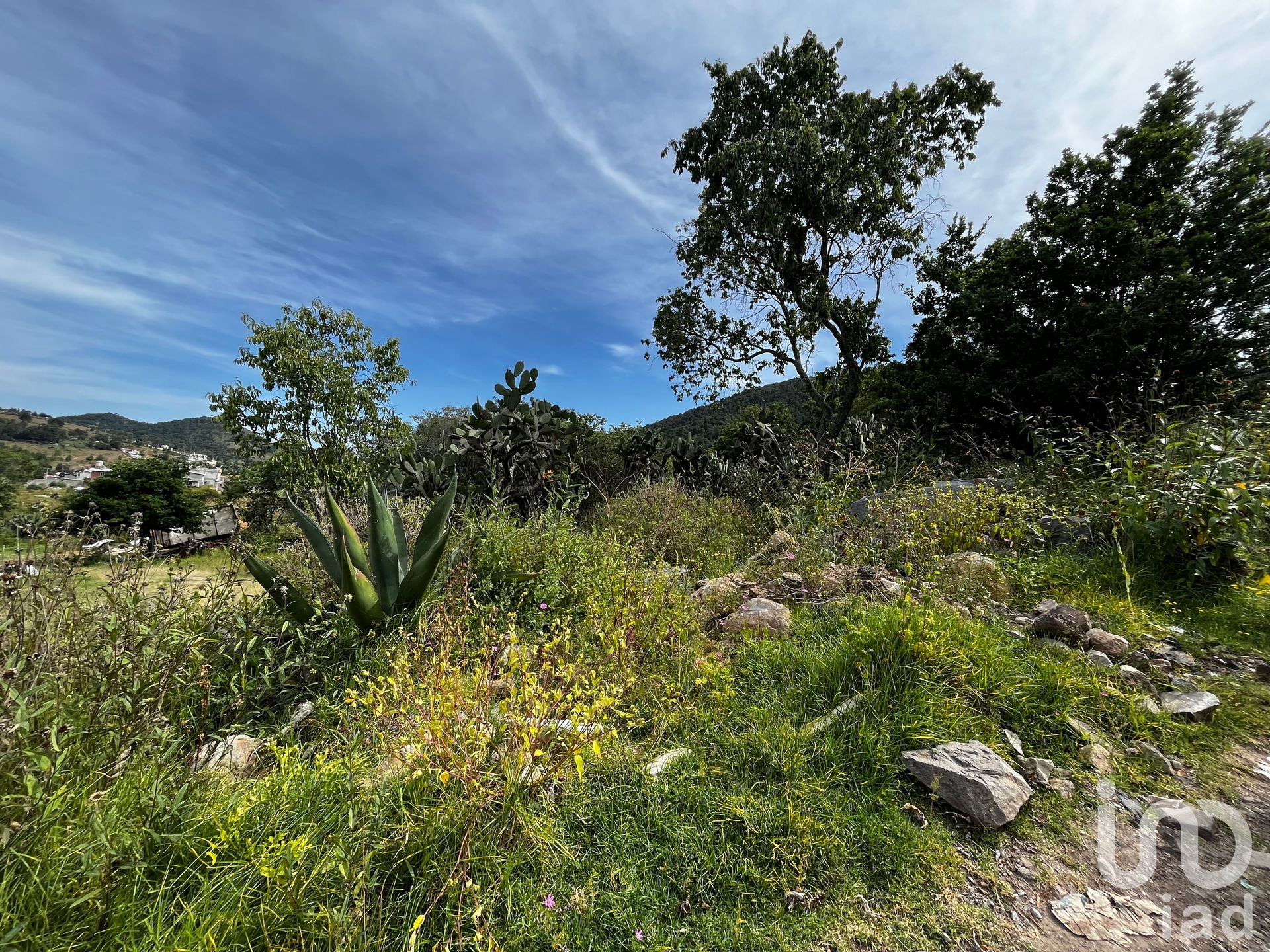 Land i San Lorenzo Tlacotepec, Estado de México 12678763