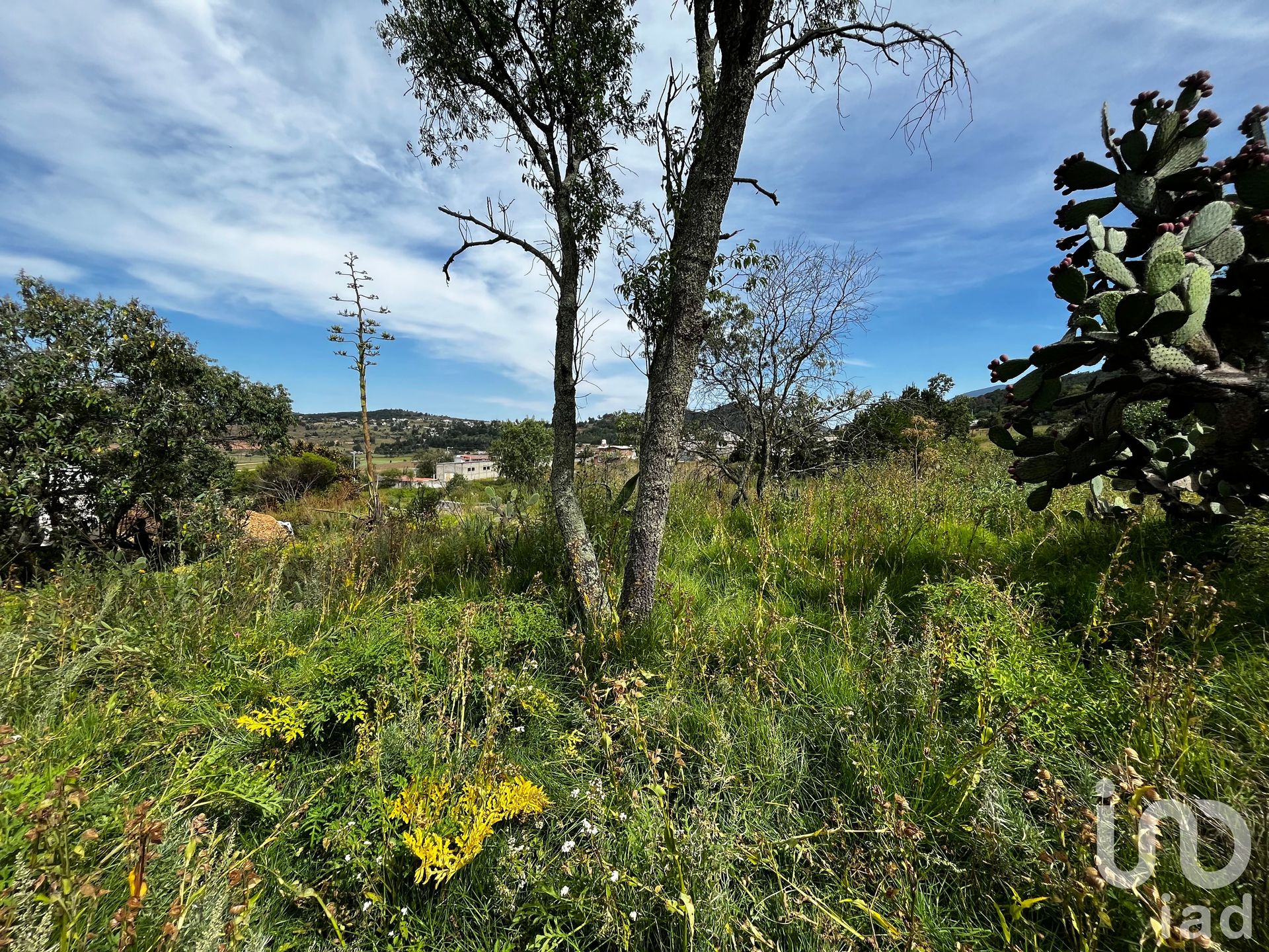 Land i San Lorenzo Tlacotepec, Estado de México 12678763