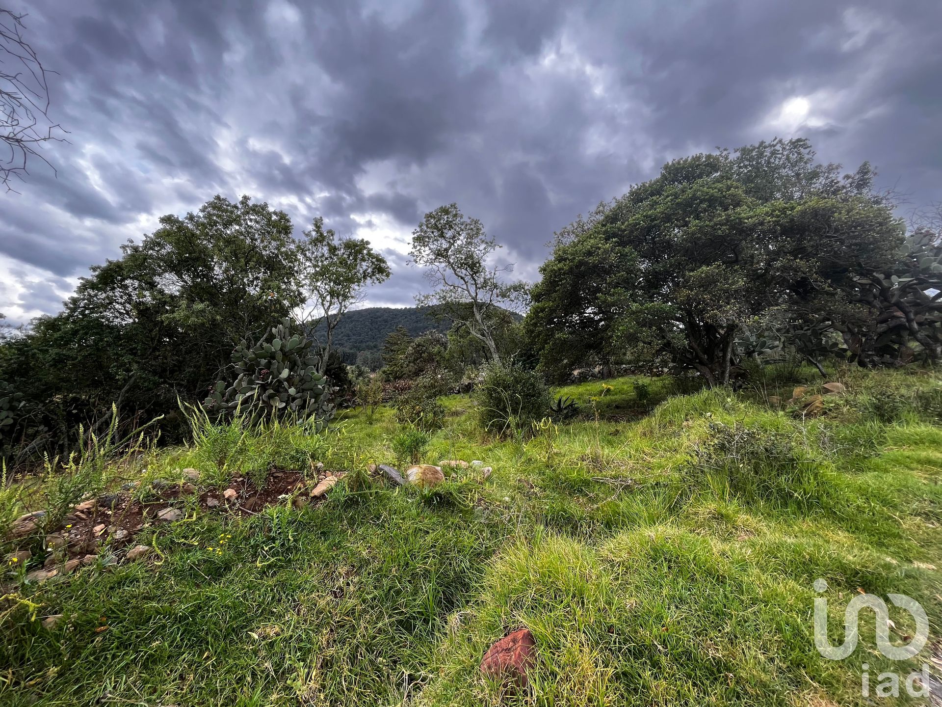 Земля в San Lorenzo Tlacotepec, Estado de México 12678766