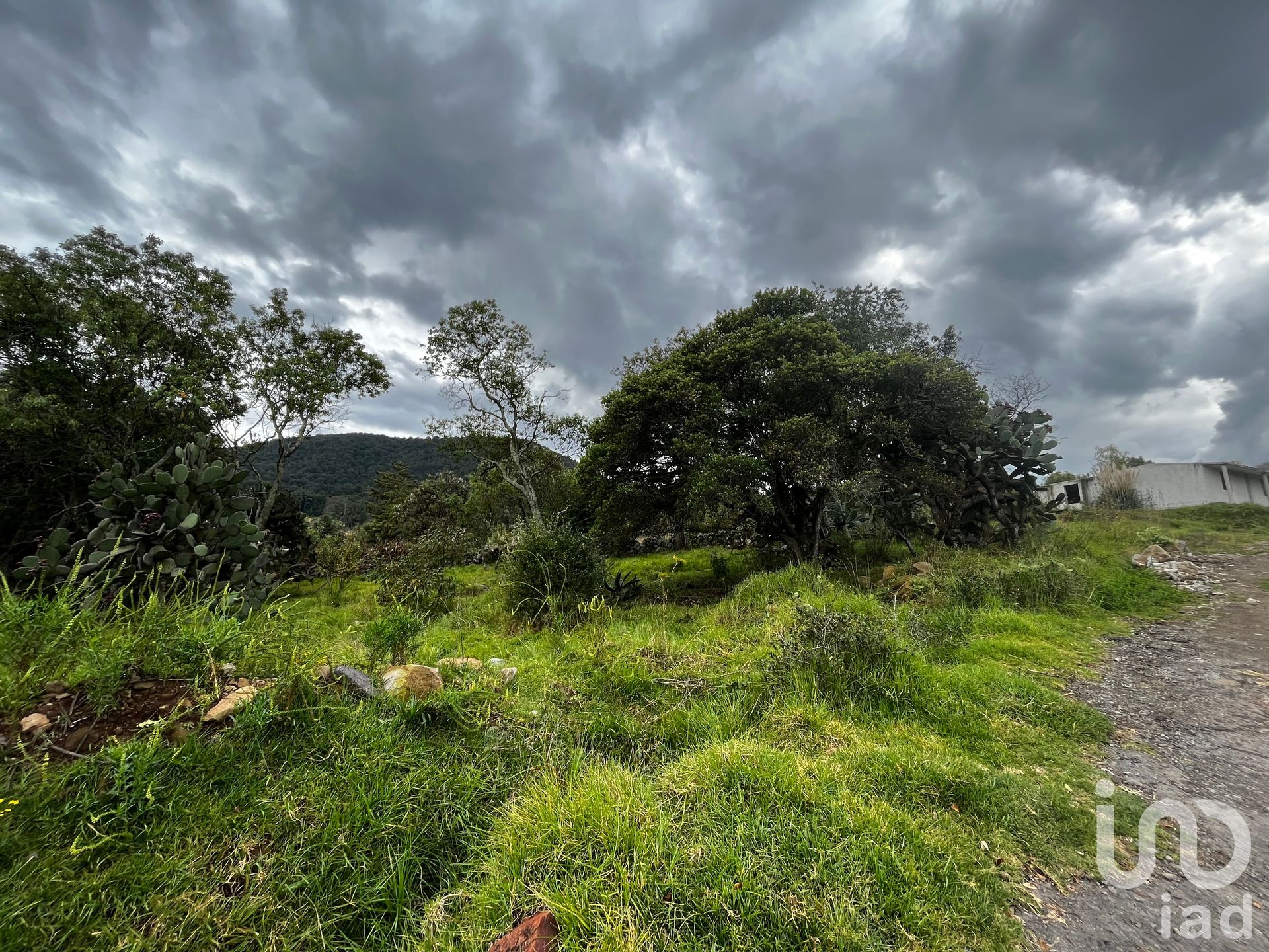 Земля в San Lorenzo Tlacotepec, Estado de México 12678766