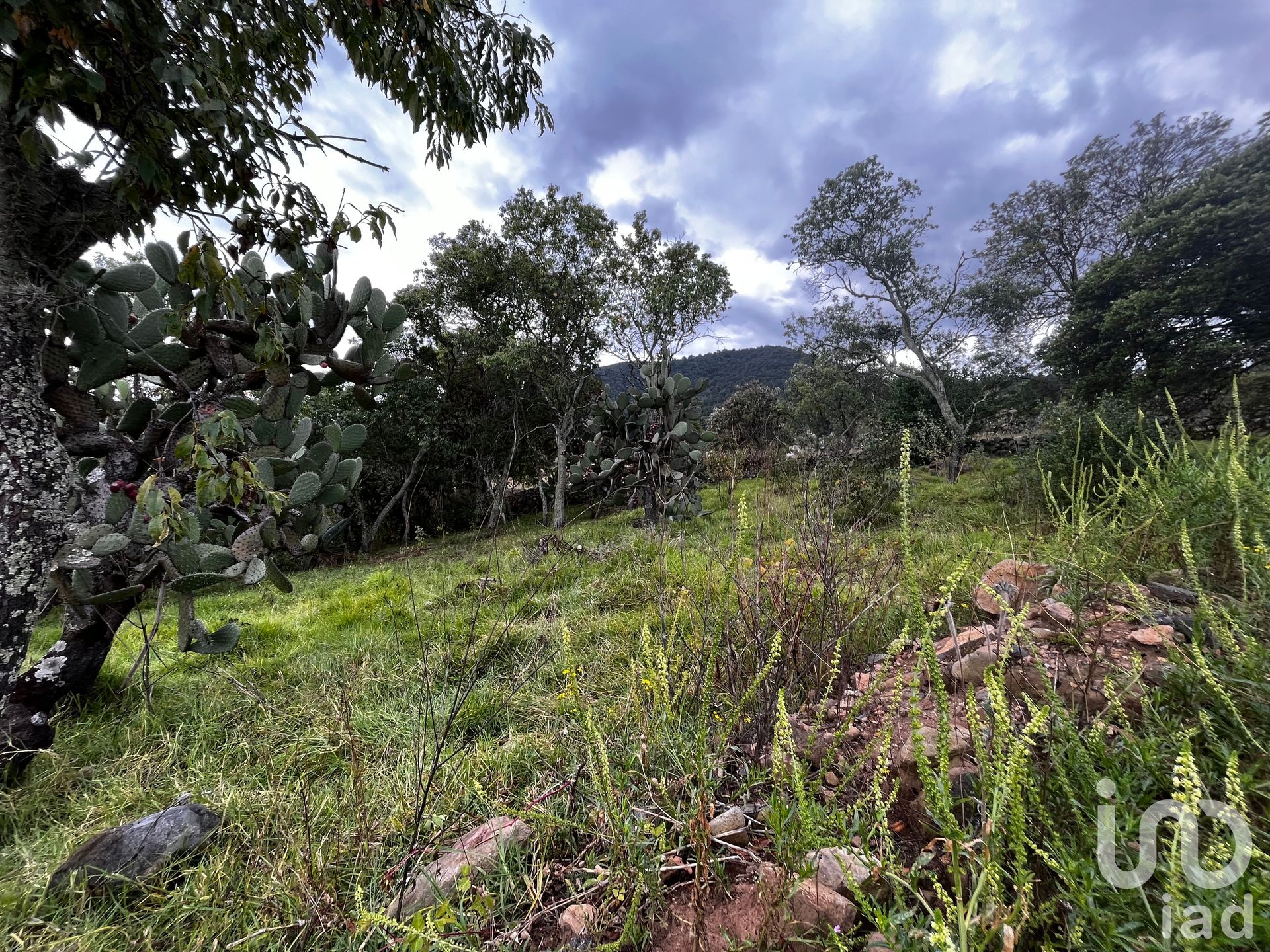 Земля в San Lorenzo Tlacotepec, Estado de México 12678766