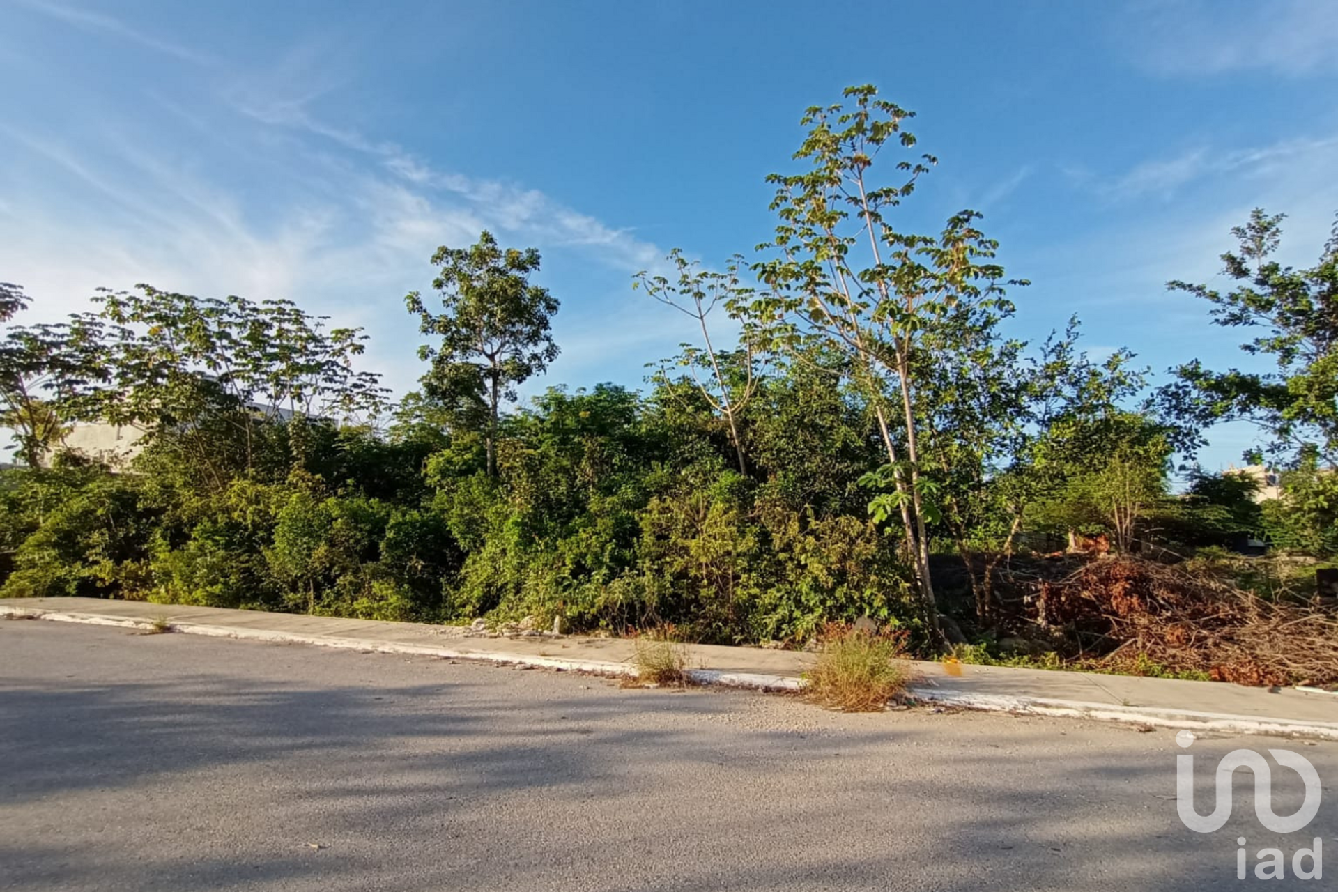 土地 在 Tulum, Quintana Roo 12678888