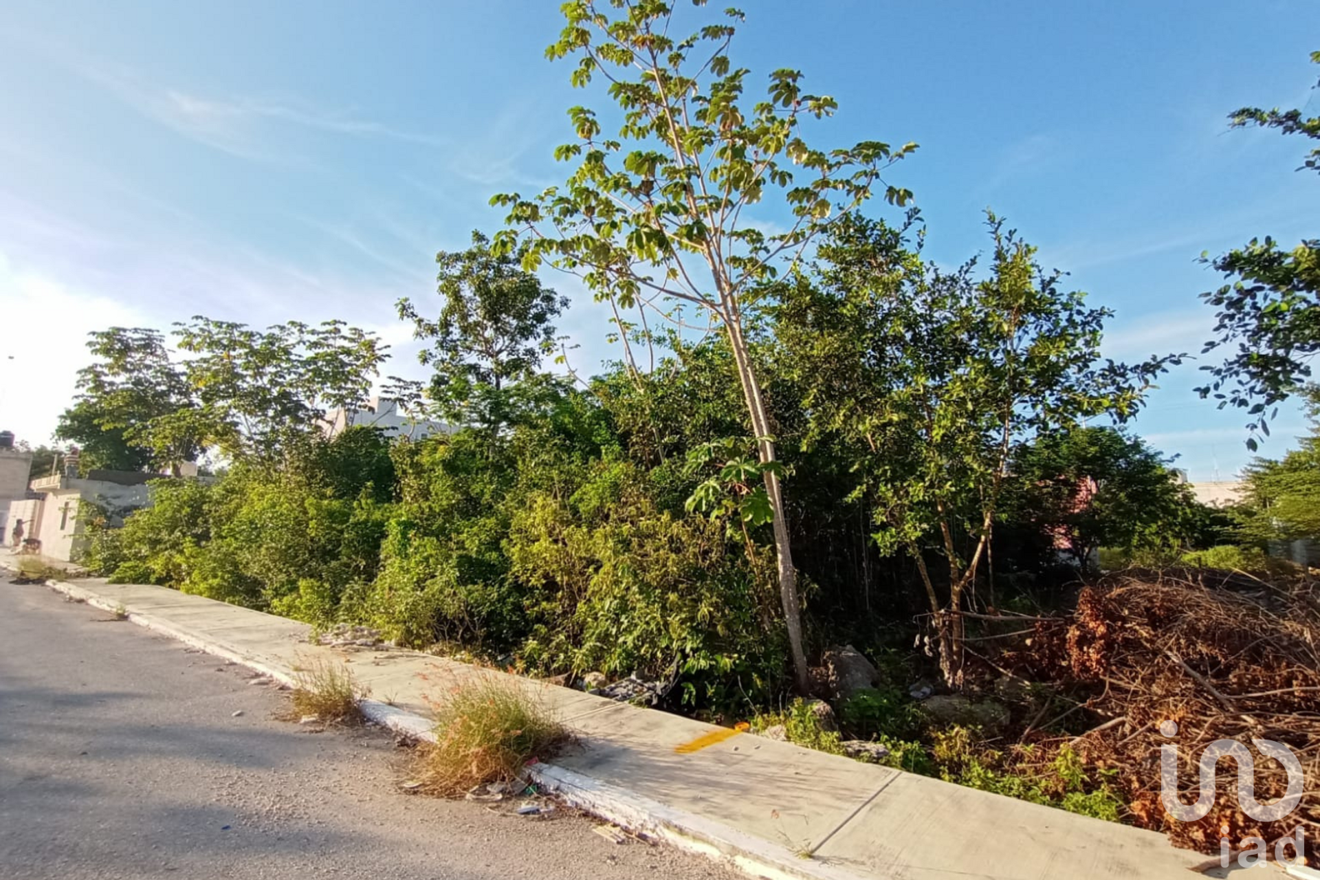 土地 在 Tulum, Quintana Roo 12678888