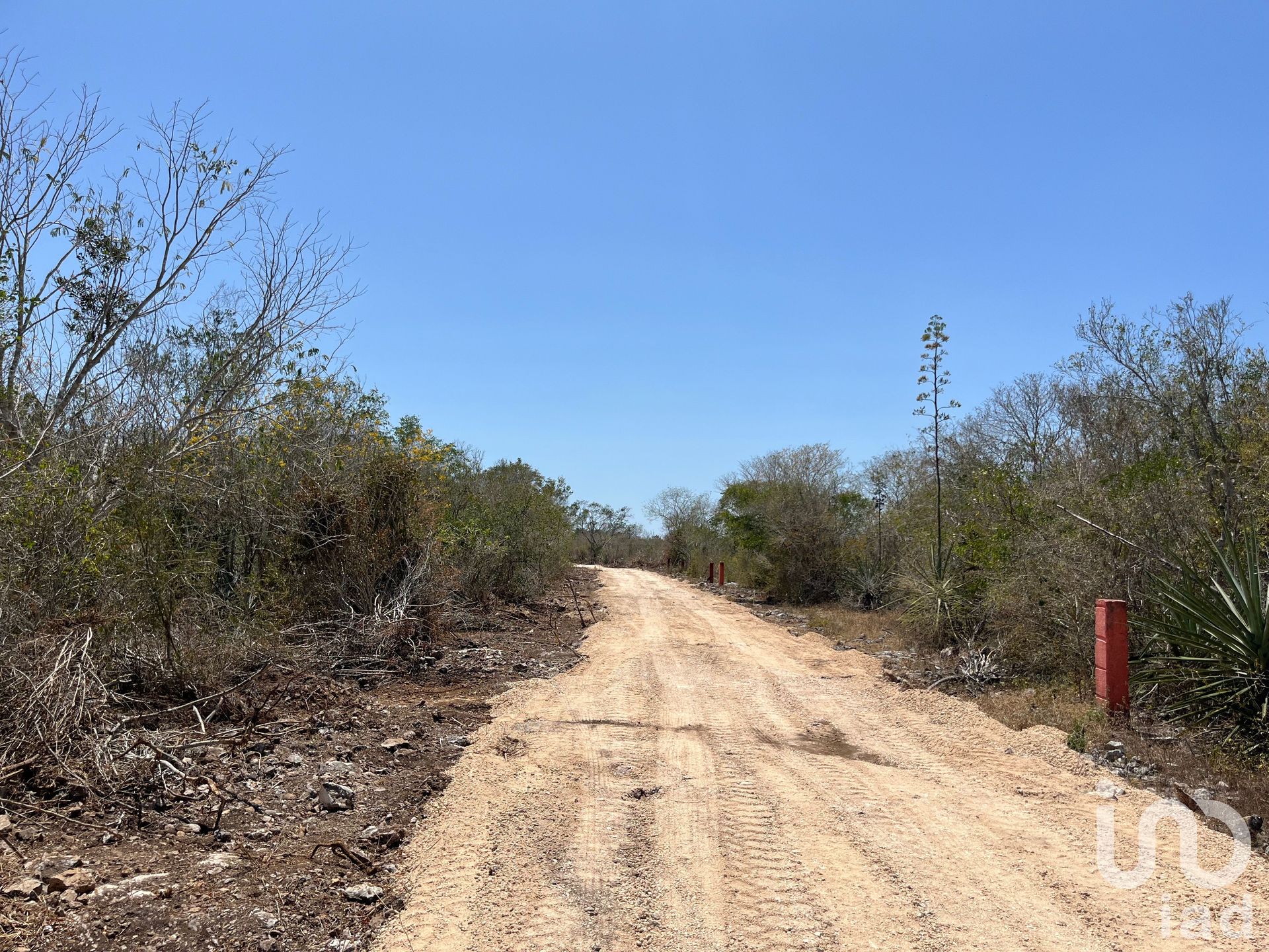 Γη σε El Paraíso, Yucatán 12678967