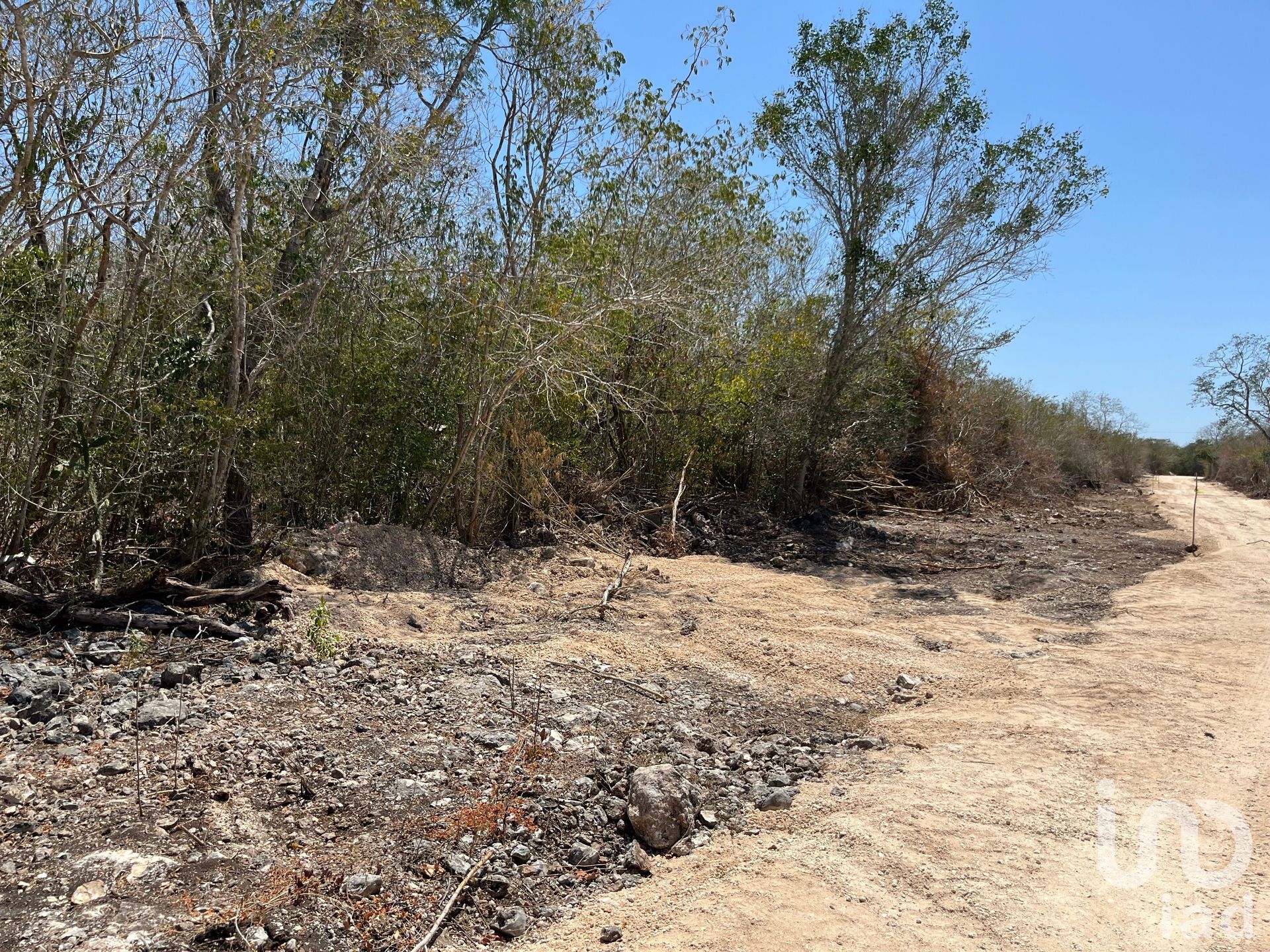 土地 在 El Paraíso, Yucatán 12678970