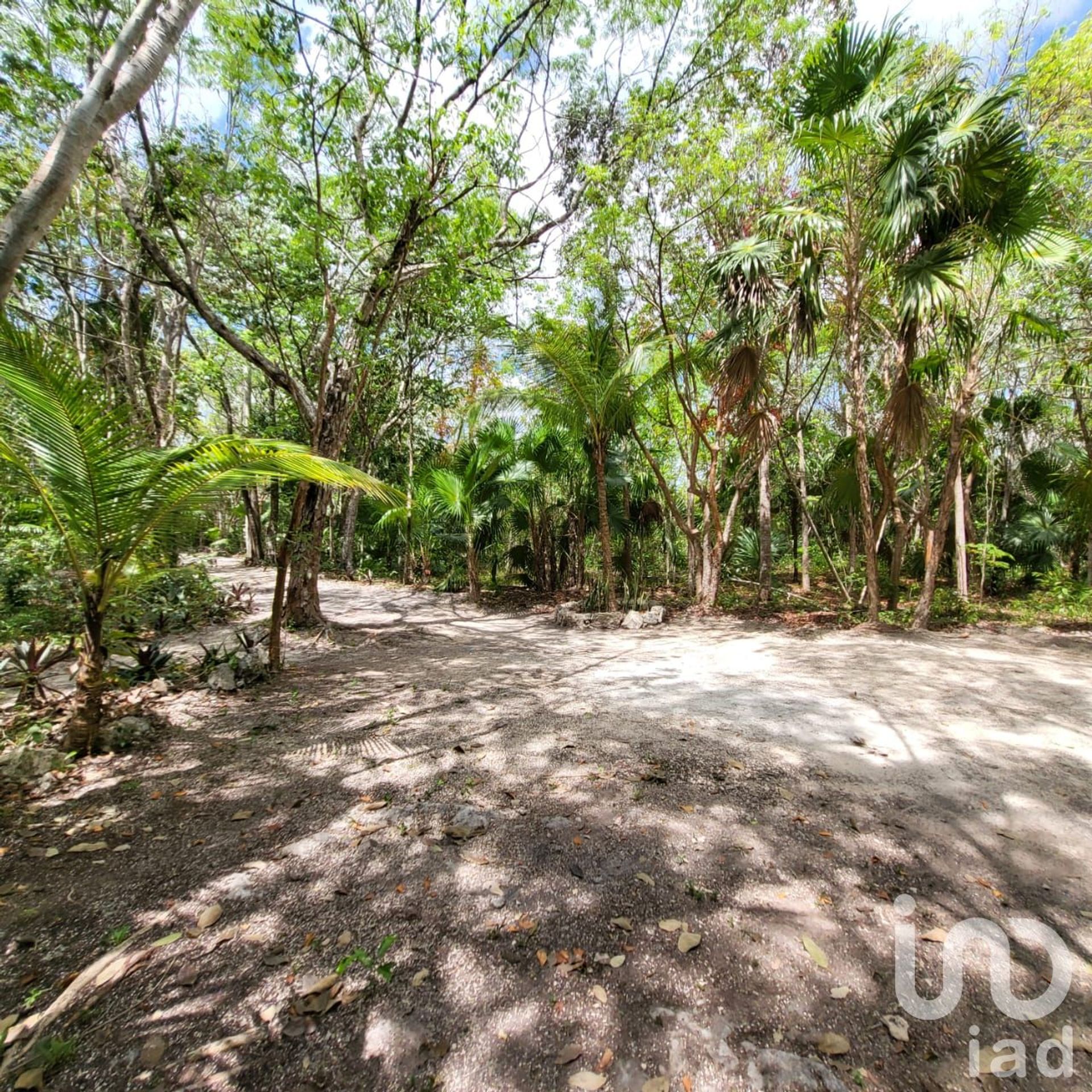 Land i Leona Vicario, Quintana Roo 12679100