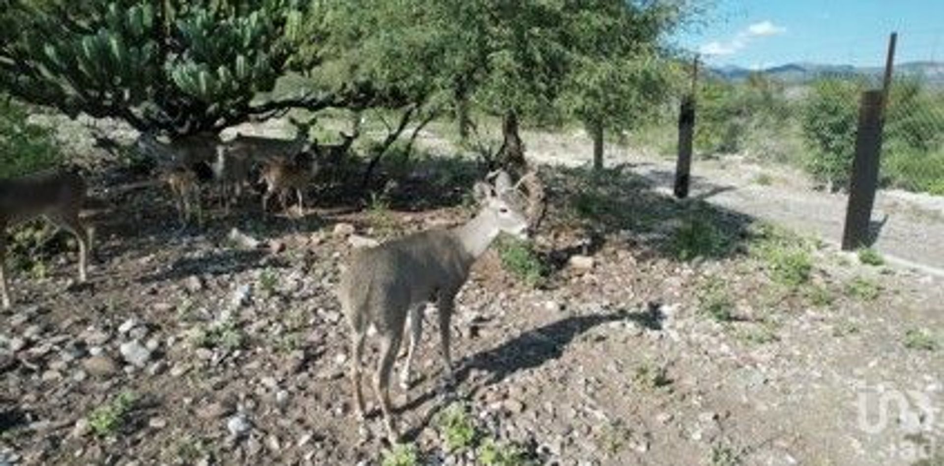 الأرض في , Querétaro 12679132