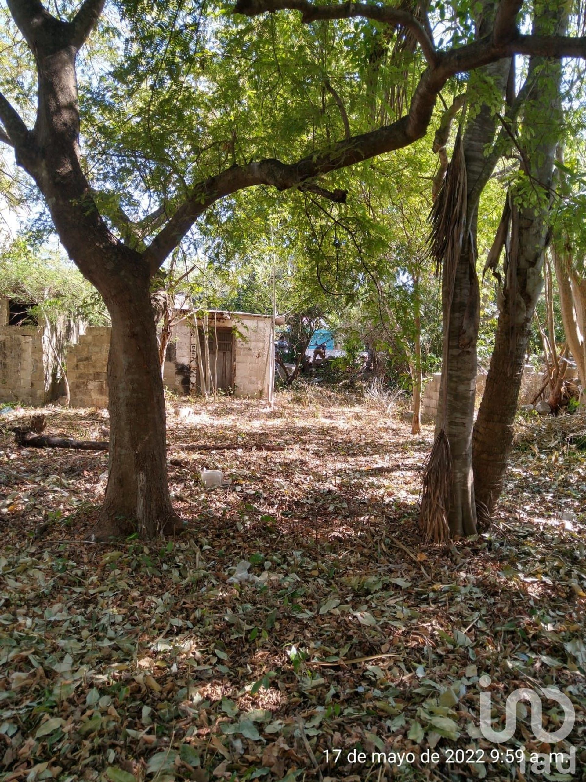 Tierra en Conkal, Yucatan 12679318