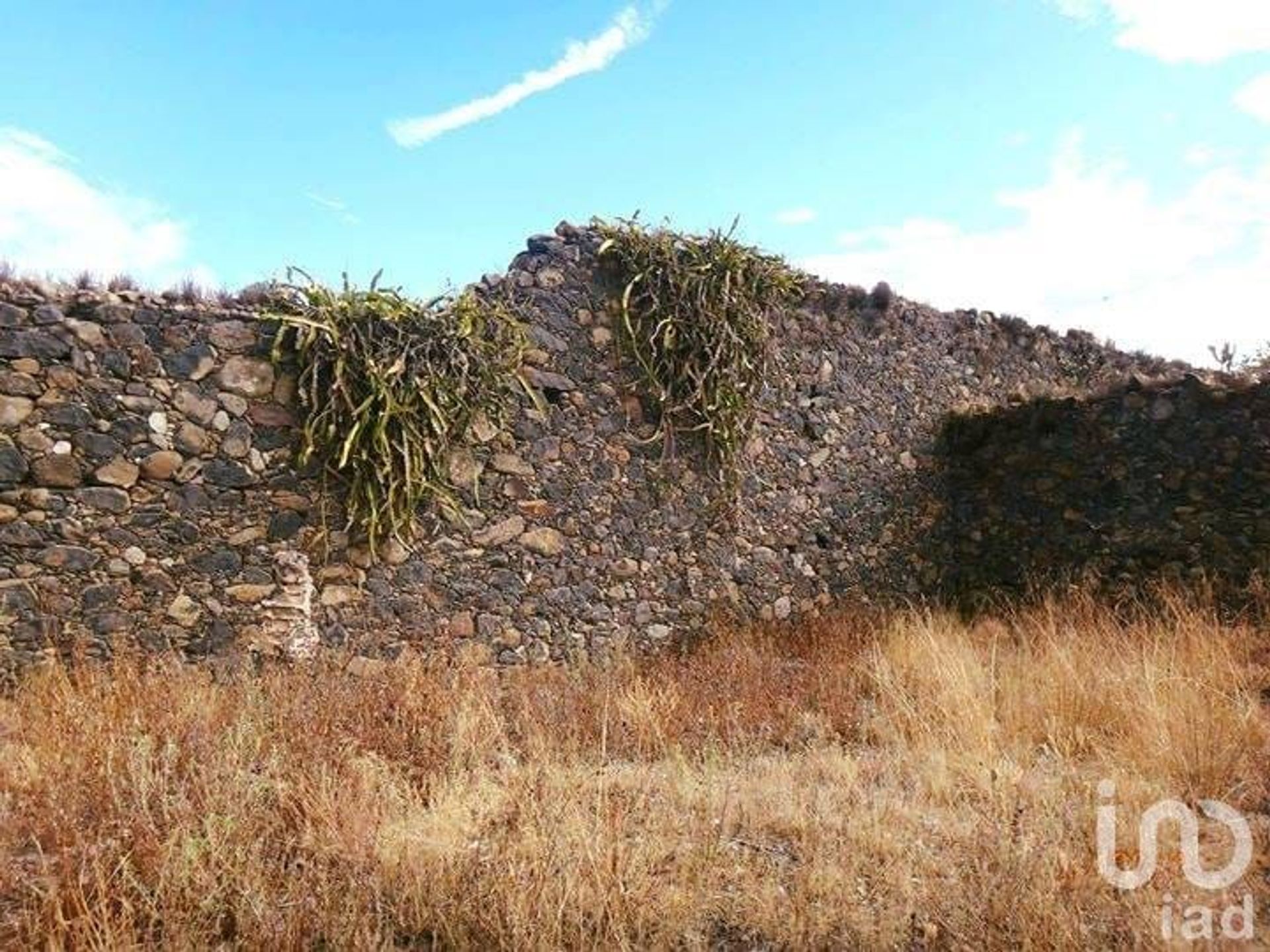 土地 在 Nopala de Villagrán, Hidalgo 12679422