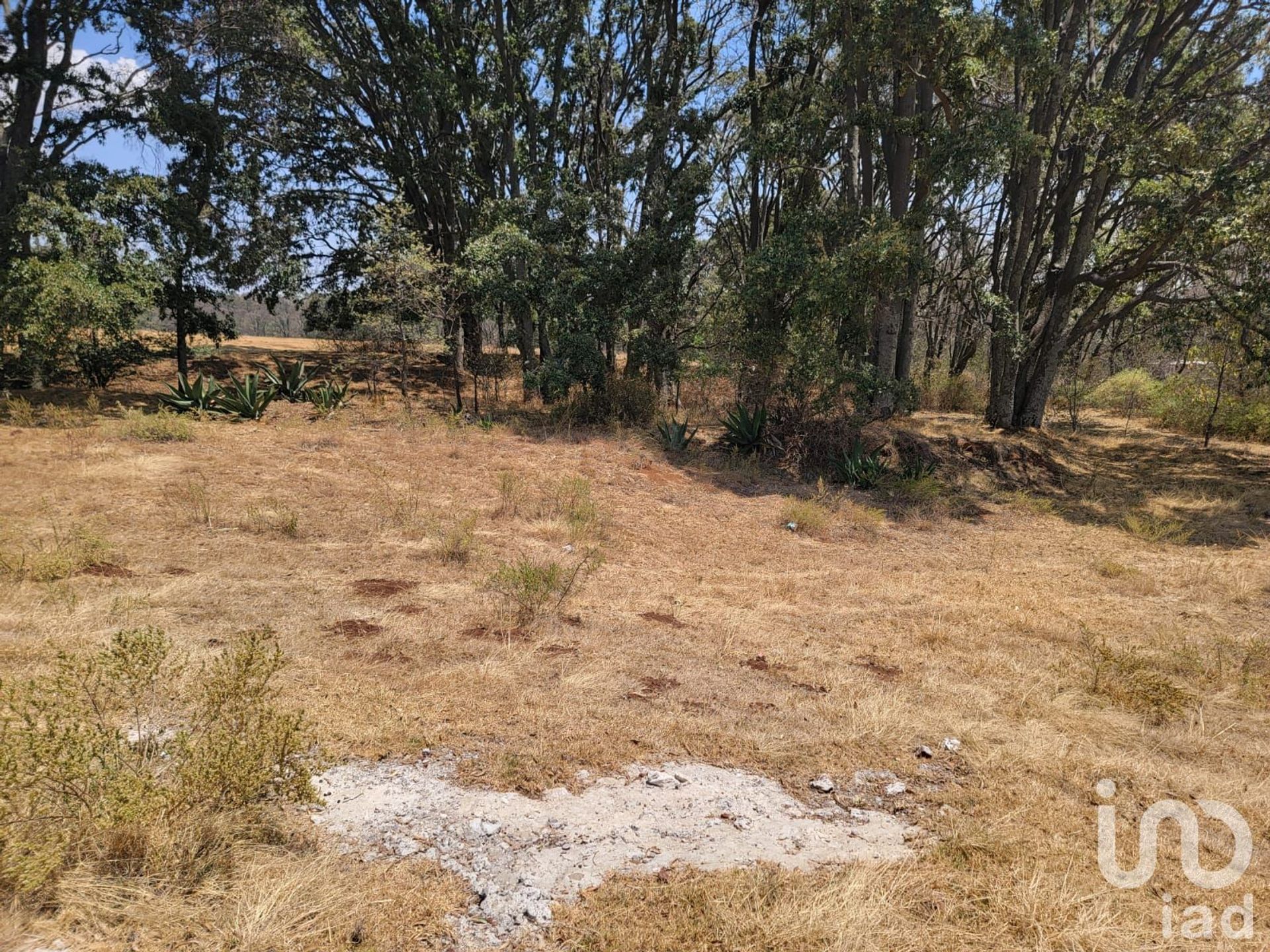 Terra no Las Manzanas, México 12679635