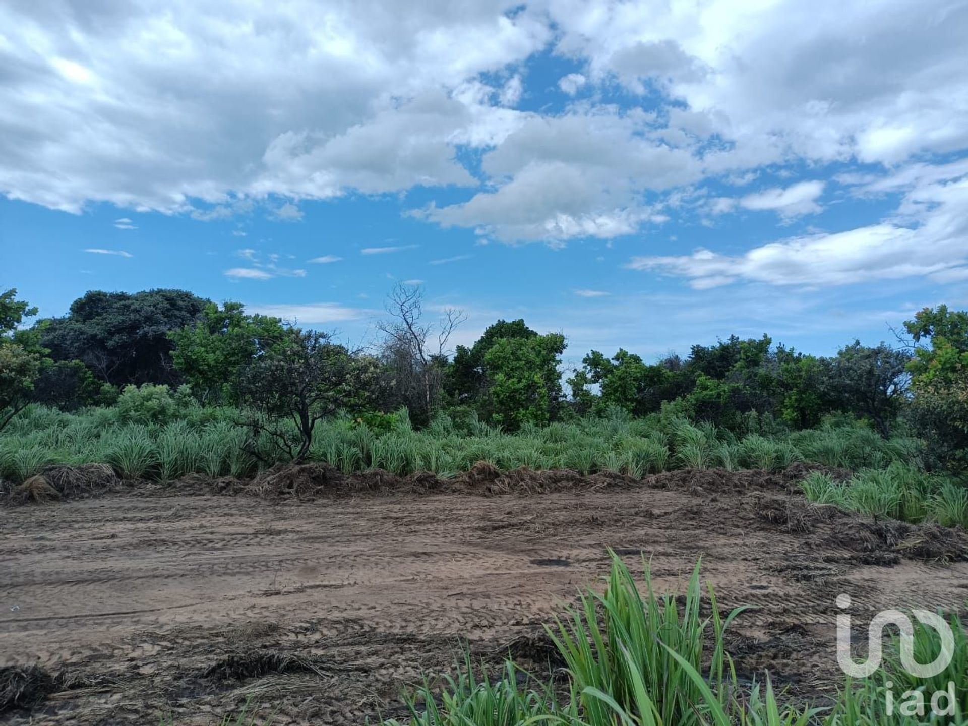 Terra no Tuza, Oaxaca 12679831