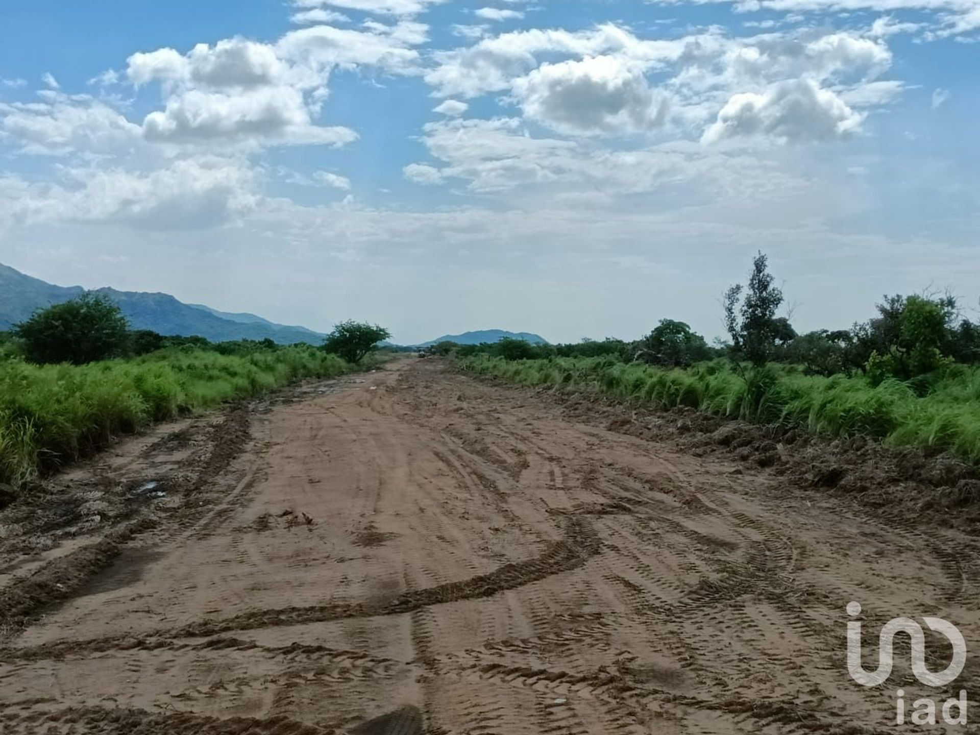 الأرض في , Oaxaca 12679831