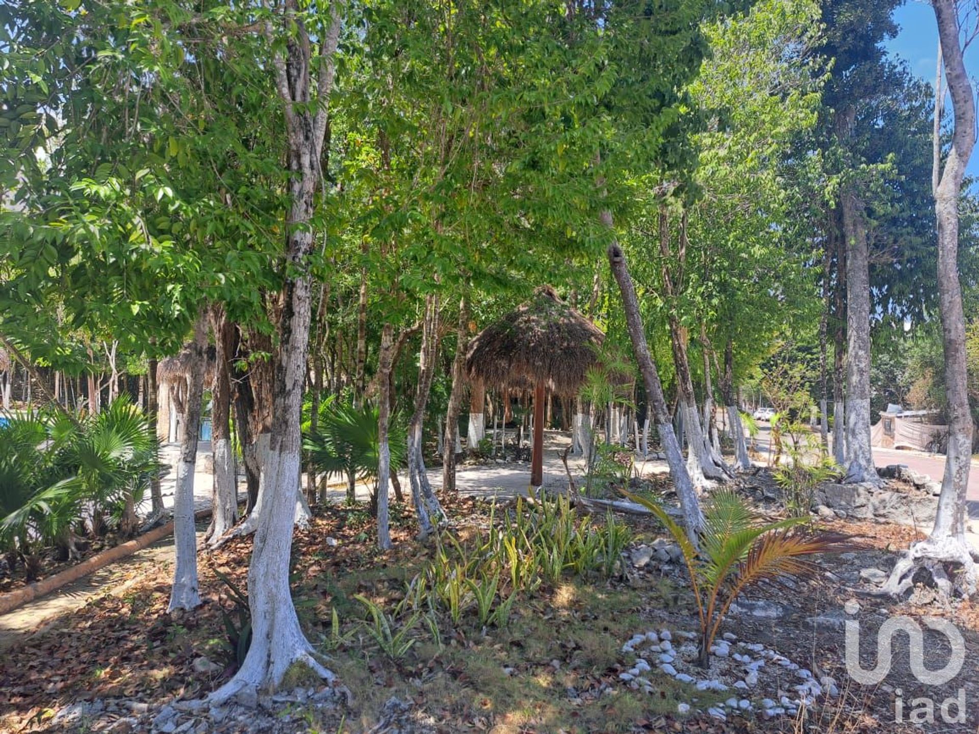 Land in Puerto Morelos, Quintana Roo 12679900