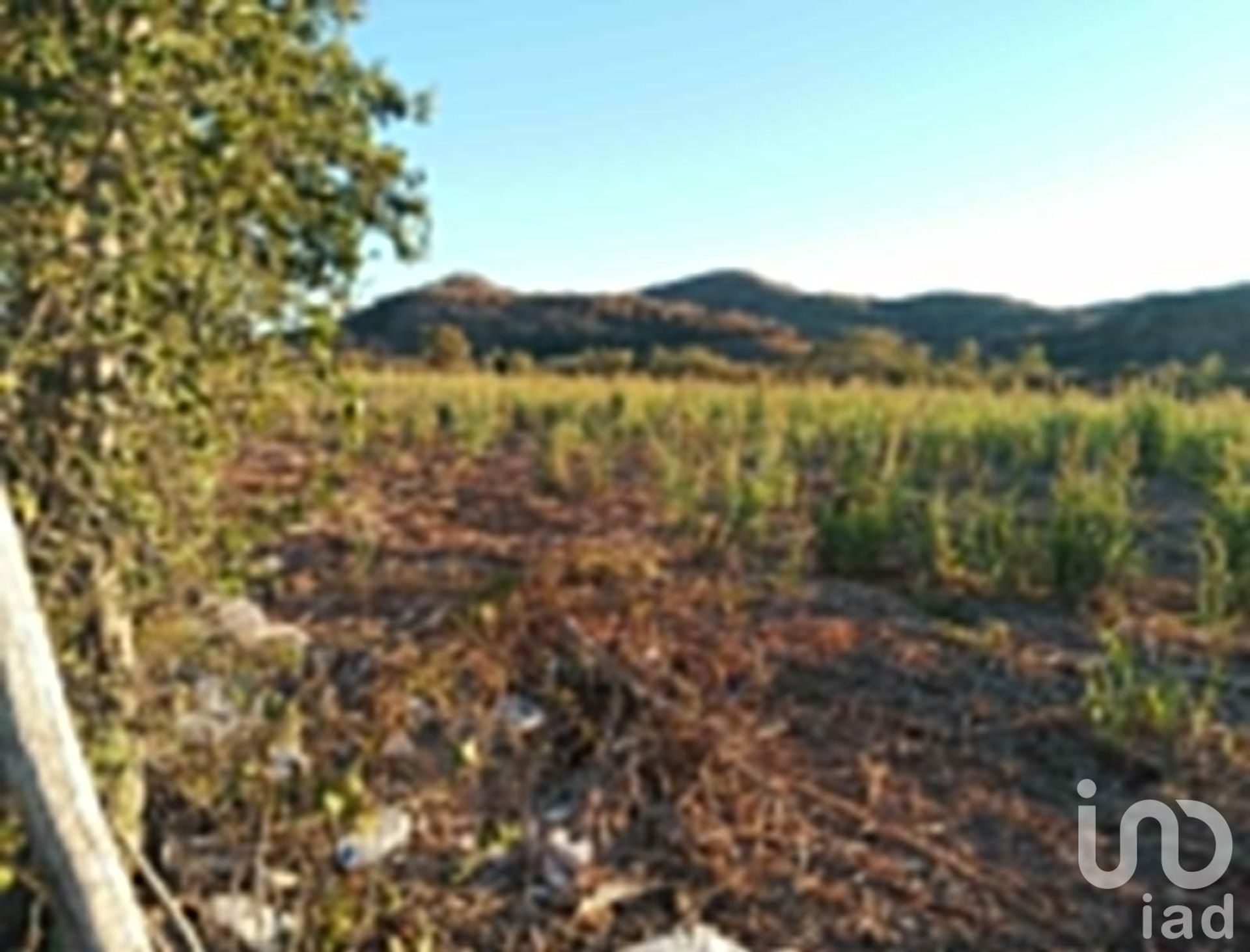 Terre dans Las Higueras del Conchi, Sinaloa 12679937