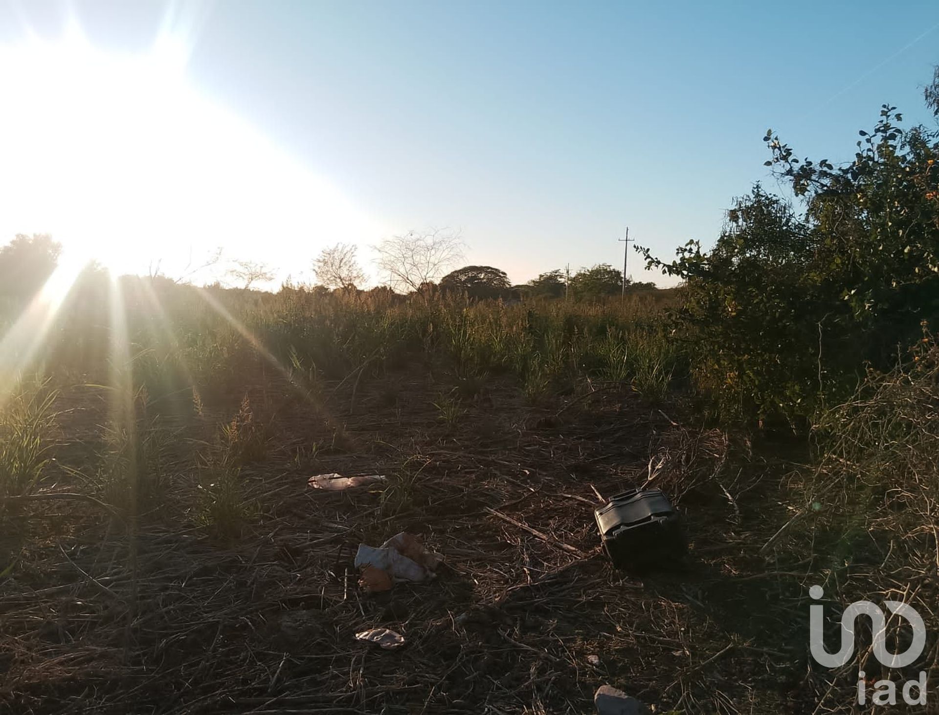 Terre dans Las Higueras del Conchi, Sinaloa 12679937