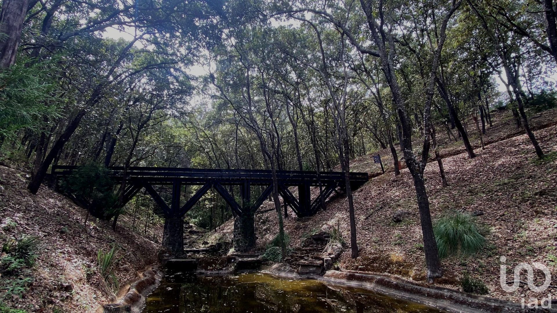 土地 在 La Polvora, Jalisco 12679954