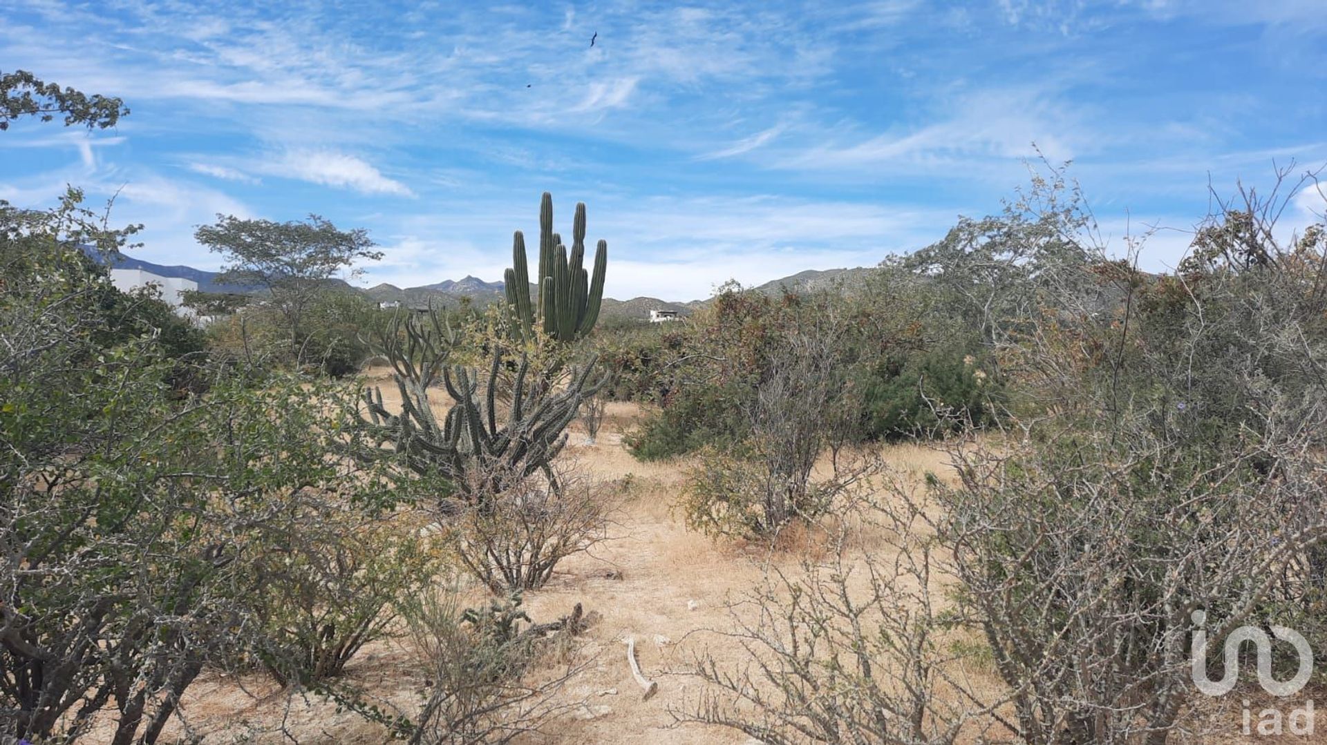 土地 在 La Ventana, Baja California Sur 12679955