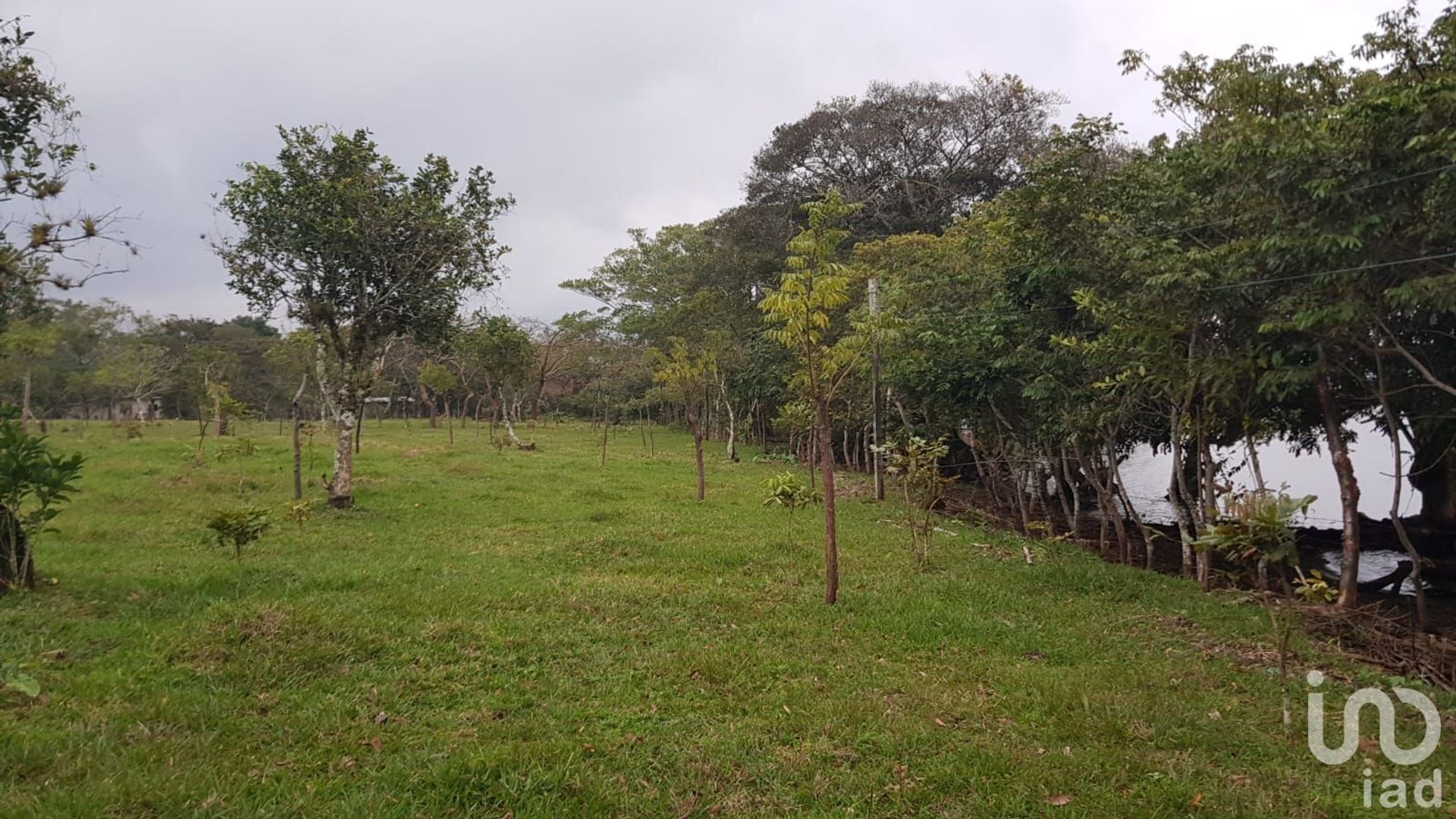 Tierra en Tebanca, Veracruz 12679969