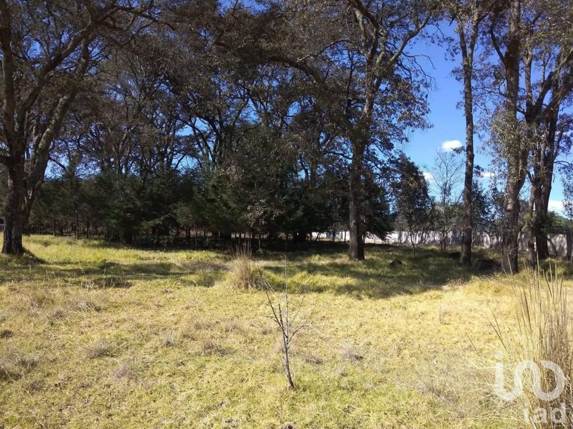 Land in Matías Rodríguez, Hidalgo 12680106