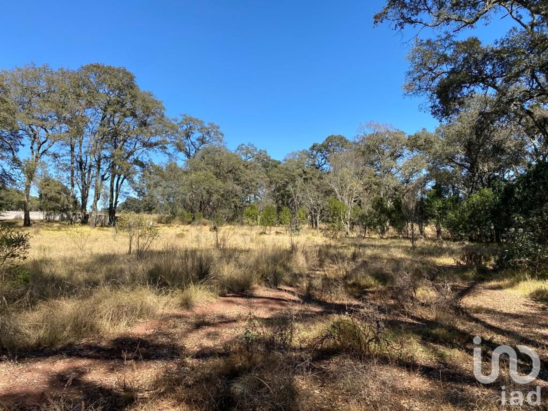 Land in Matías Rodríguez, Hidalgo 12680106