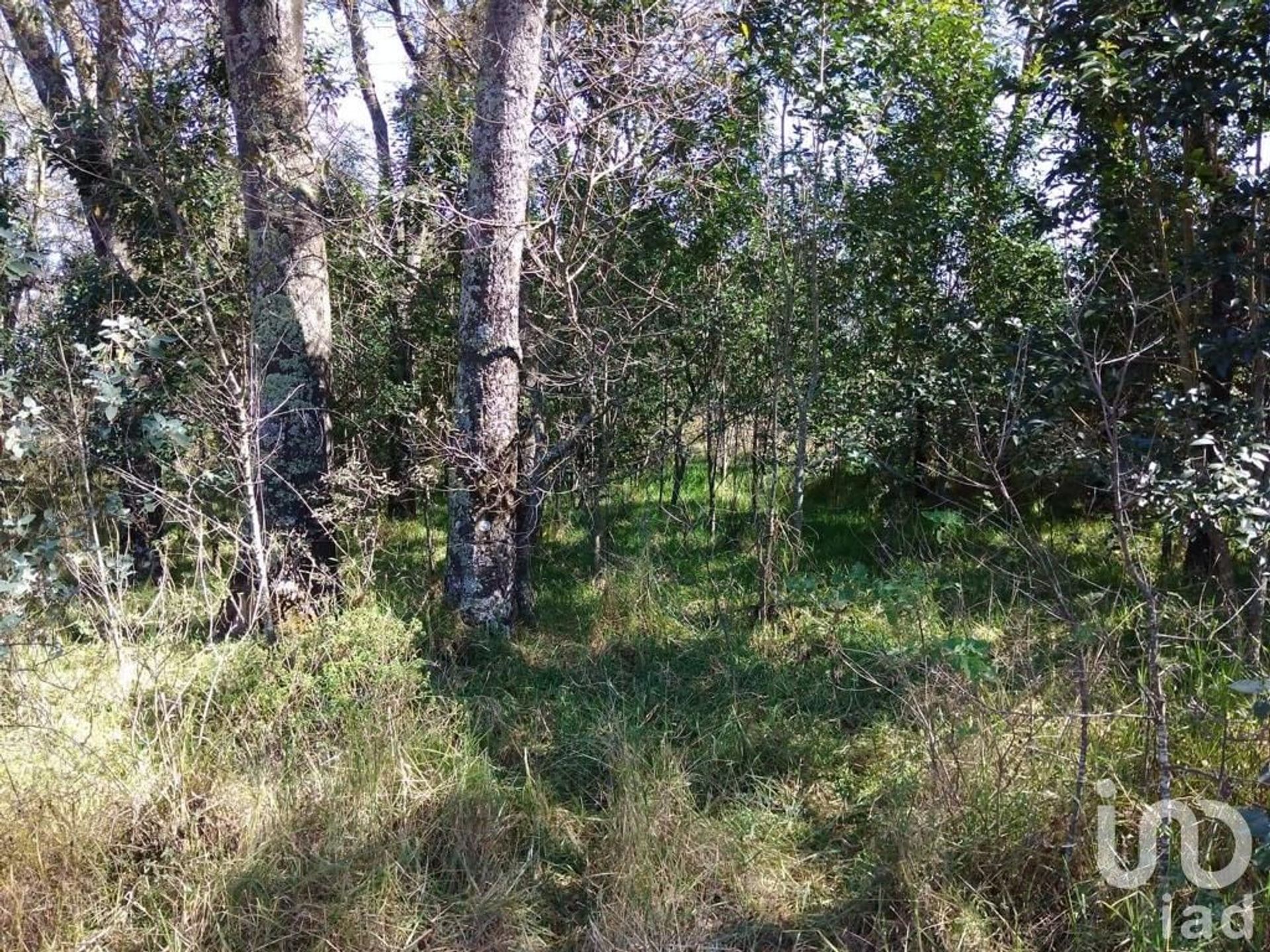 Land in Matías Rodríguez, Hidalgo 12680106